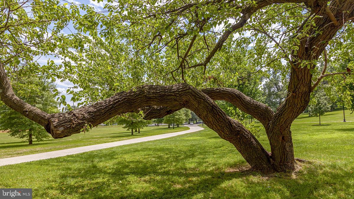 PIGTOWN HISTORIC DISTRICT - Residential