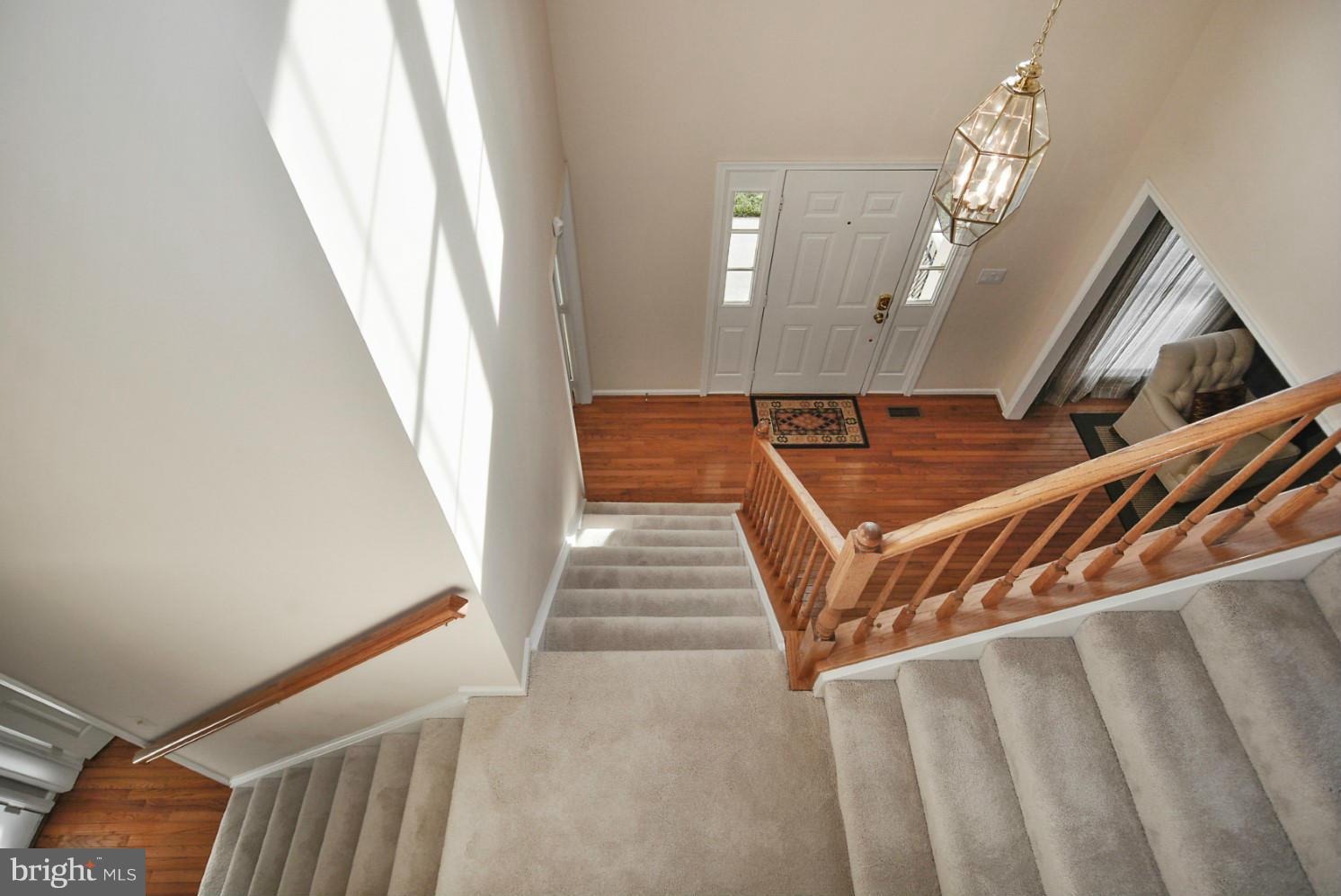 HAWTHORNE FOREST - Residential