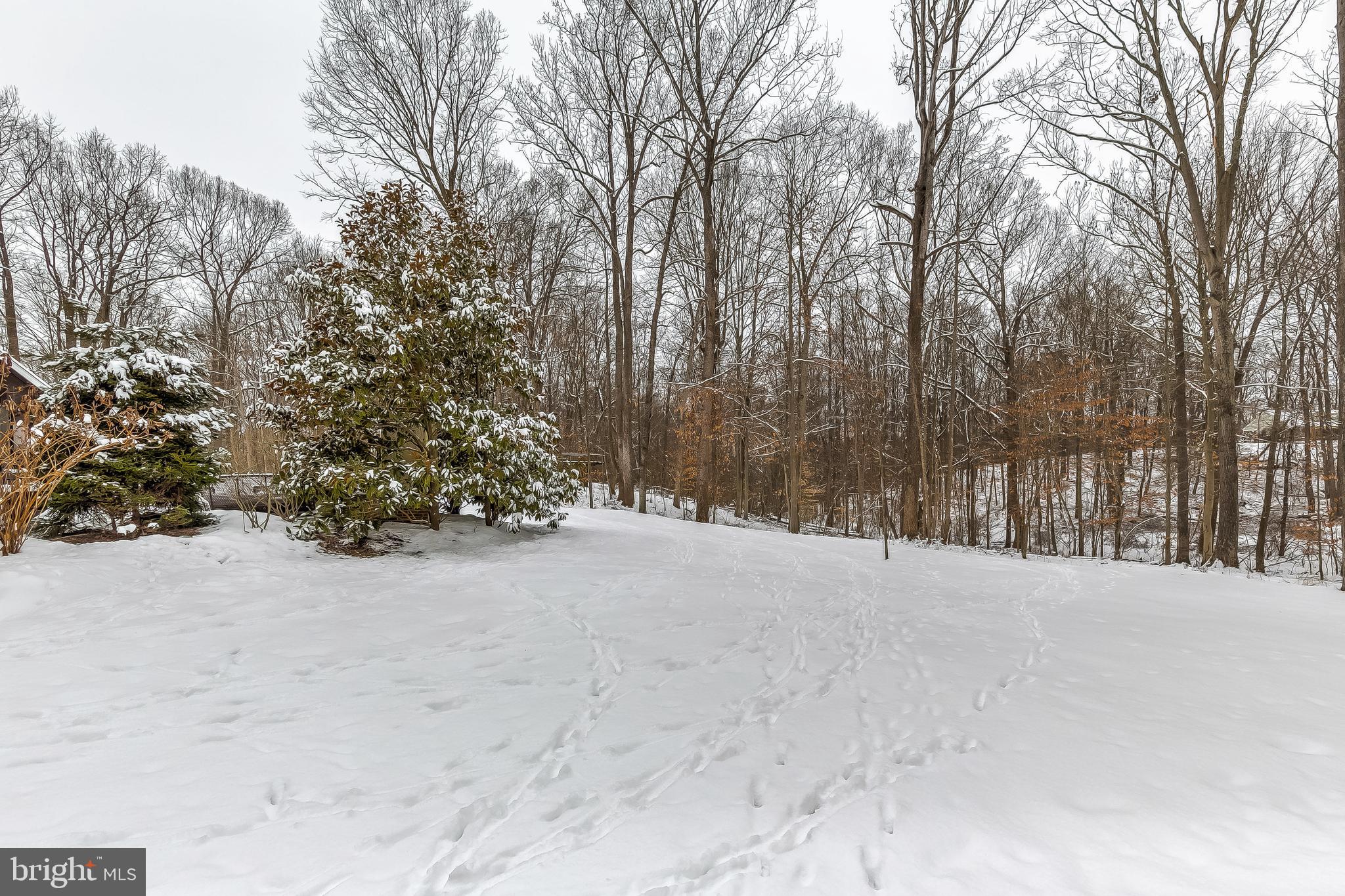 STOCKTON WOODS - Residential