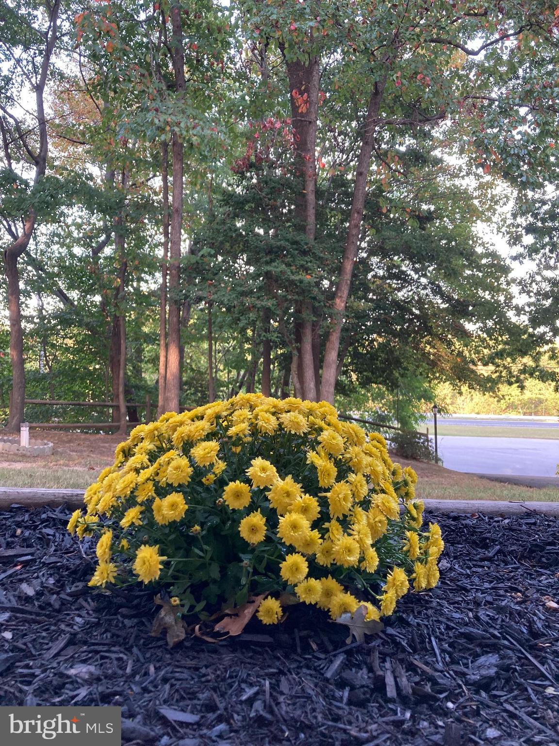 WHITE SANDS - Residential
