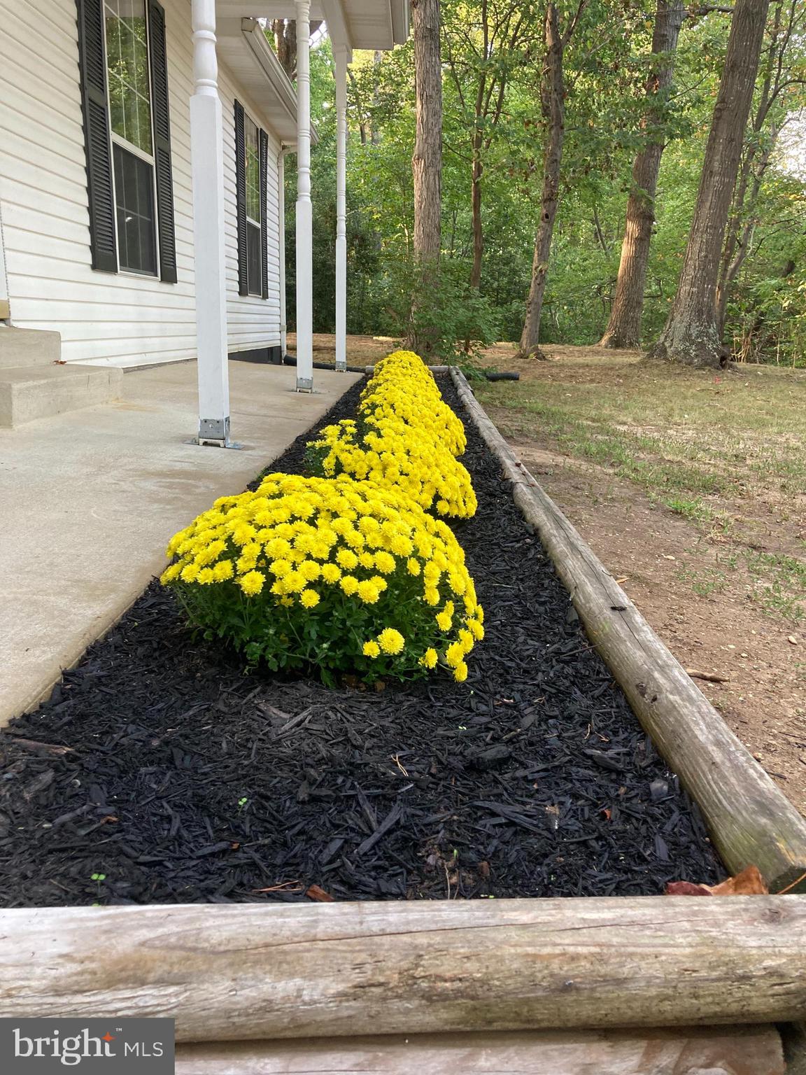 WHITE SANDS - Residential