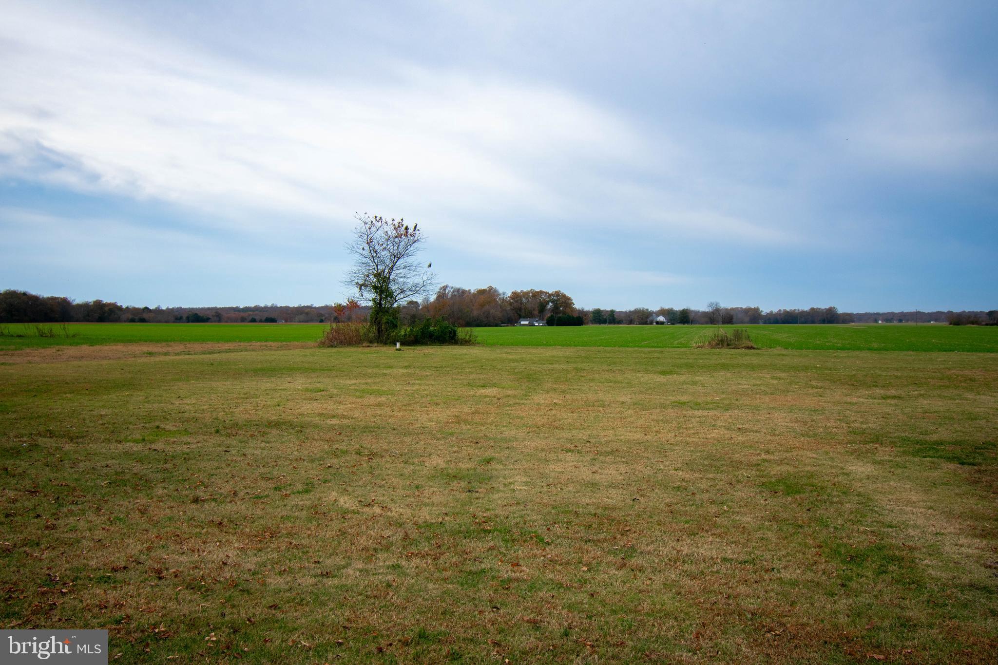 MONTROSS - Residential