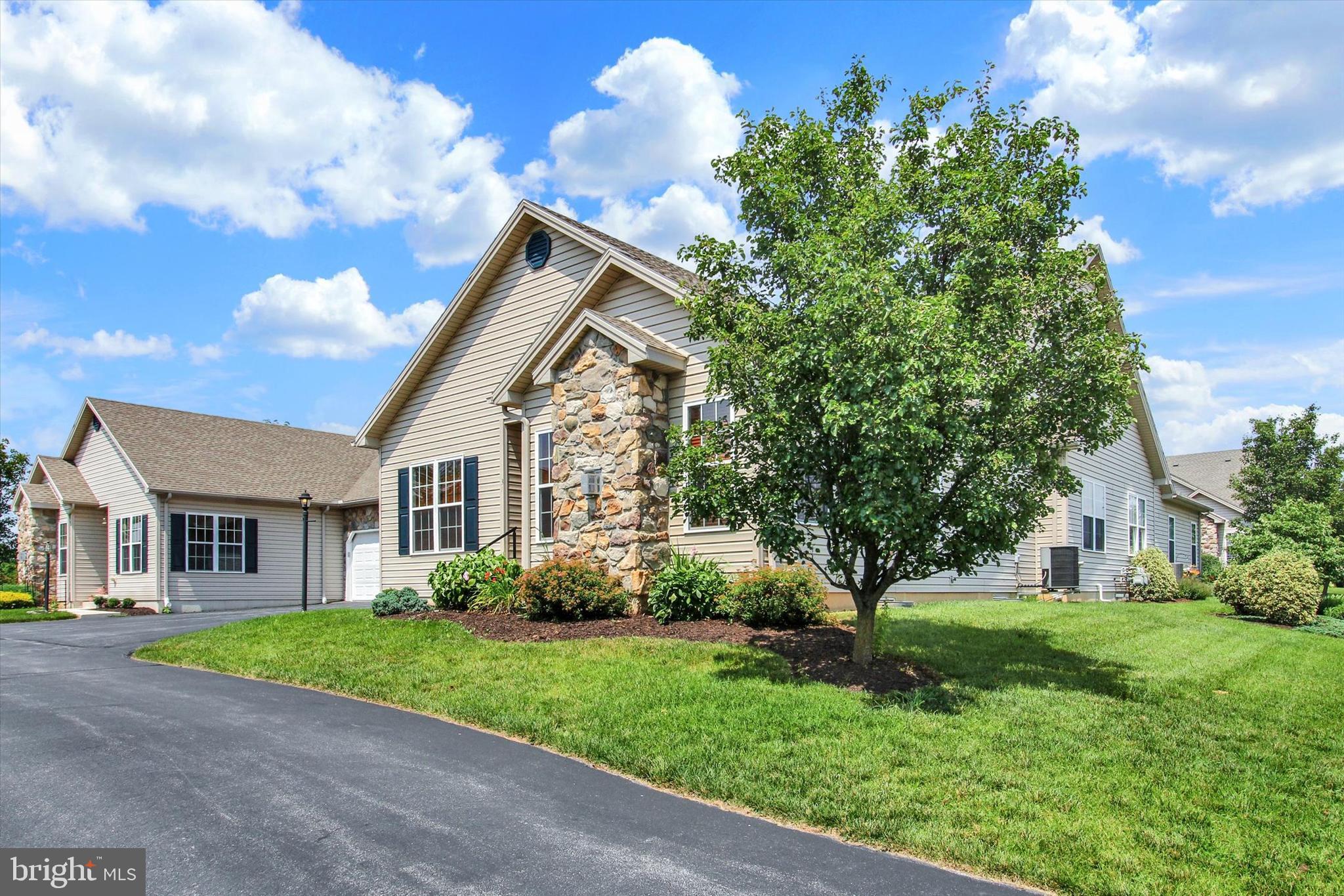 31 IVY LANE