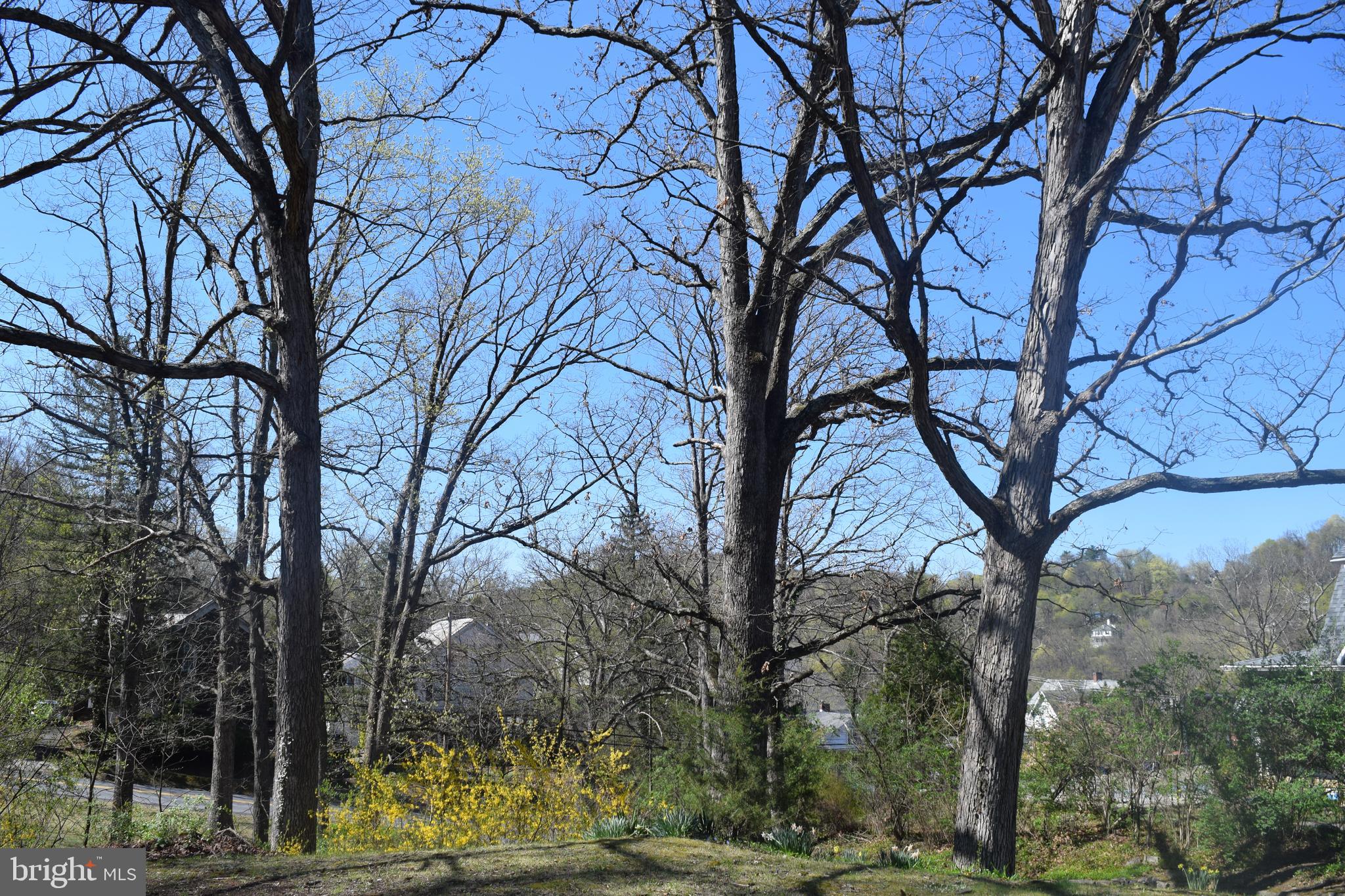 BERKELEY SPRINGS - Residential