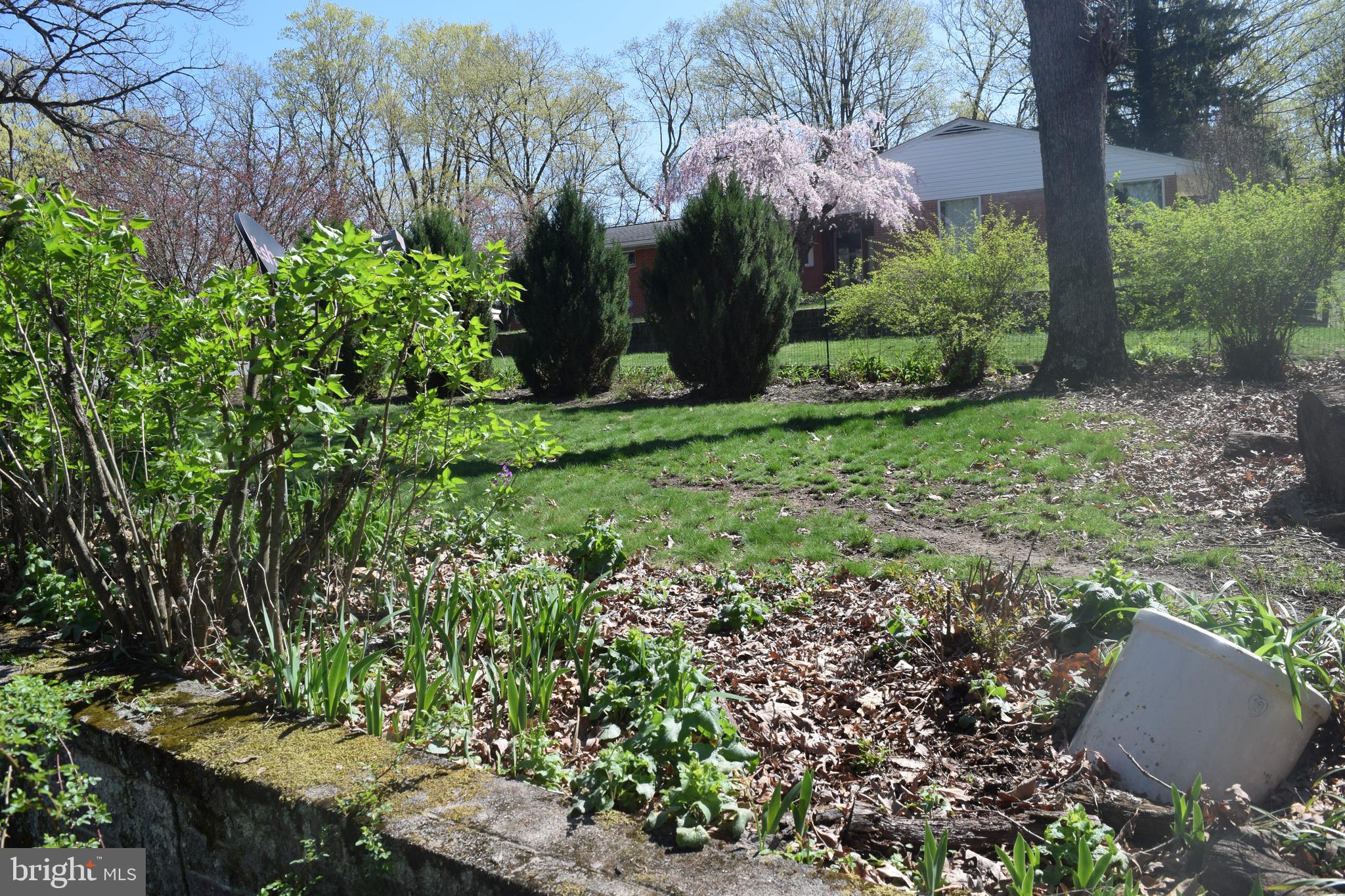 BERKELEY SPRINGS - Residential