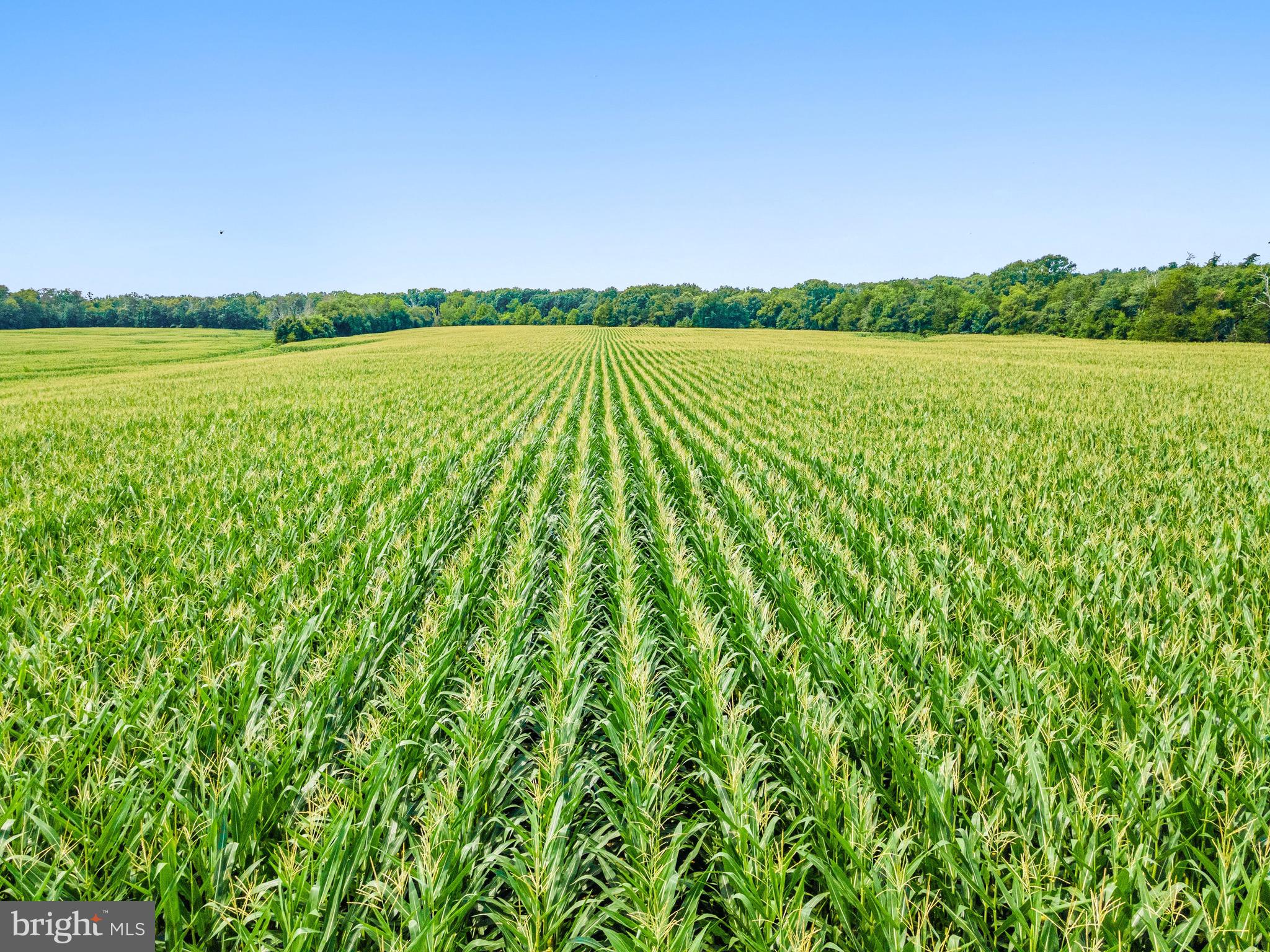 NONE AVAILABLE - Land