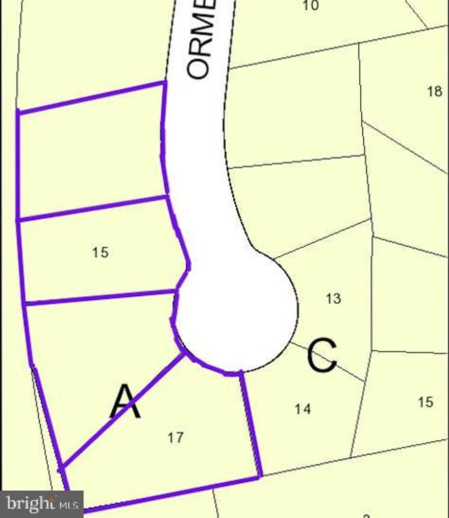 List price to be opening bid at online only auction.  Online auction to be conducted on Auctioneers website. Bidding will begin on Friday, April 4th & ends Wednesday, April 09, 2025 at 12:00PM.  A possible residential development opportunity to purchase 4 Unimproved Adjacent Lots with a Total of 1.032+/- acres in the Pine Planes Neighborhood of Temple Hills, PG County, to be Sold as an Entirety. The 4 lots are in a cul-a-sac between the houses located at 3399 & 3406 Orme Dr. Temple Hills, MD 20748.  3398 Orme Drive 0.31 acres / 13495 sq. ft. / Tax ID: 17121204775. 3400 Orme Drive 0.286 acres / 12454 sq. ft. / Tax ID: 17121204767. 3402 Orme Drive 0.219 acres / 9541sq. ft. / Tax ID: 17121204759. 3404 Orme Drive 0.217 acres / 9450 sq. ft. / Tax ID: 17121204742. Total of 1.032+/- acres


According to the seller there are sewer, water & gas lines in the street.

The description is for information purposes only and we highly suggest you do your due-diligence before bidding. 

Location: Nearby there is dining, shopping, schools, recreational facilities, hospital, and access to transportation routes including I-95 & I495. The DC/MD line is several miles away.