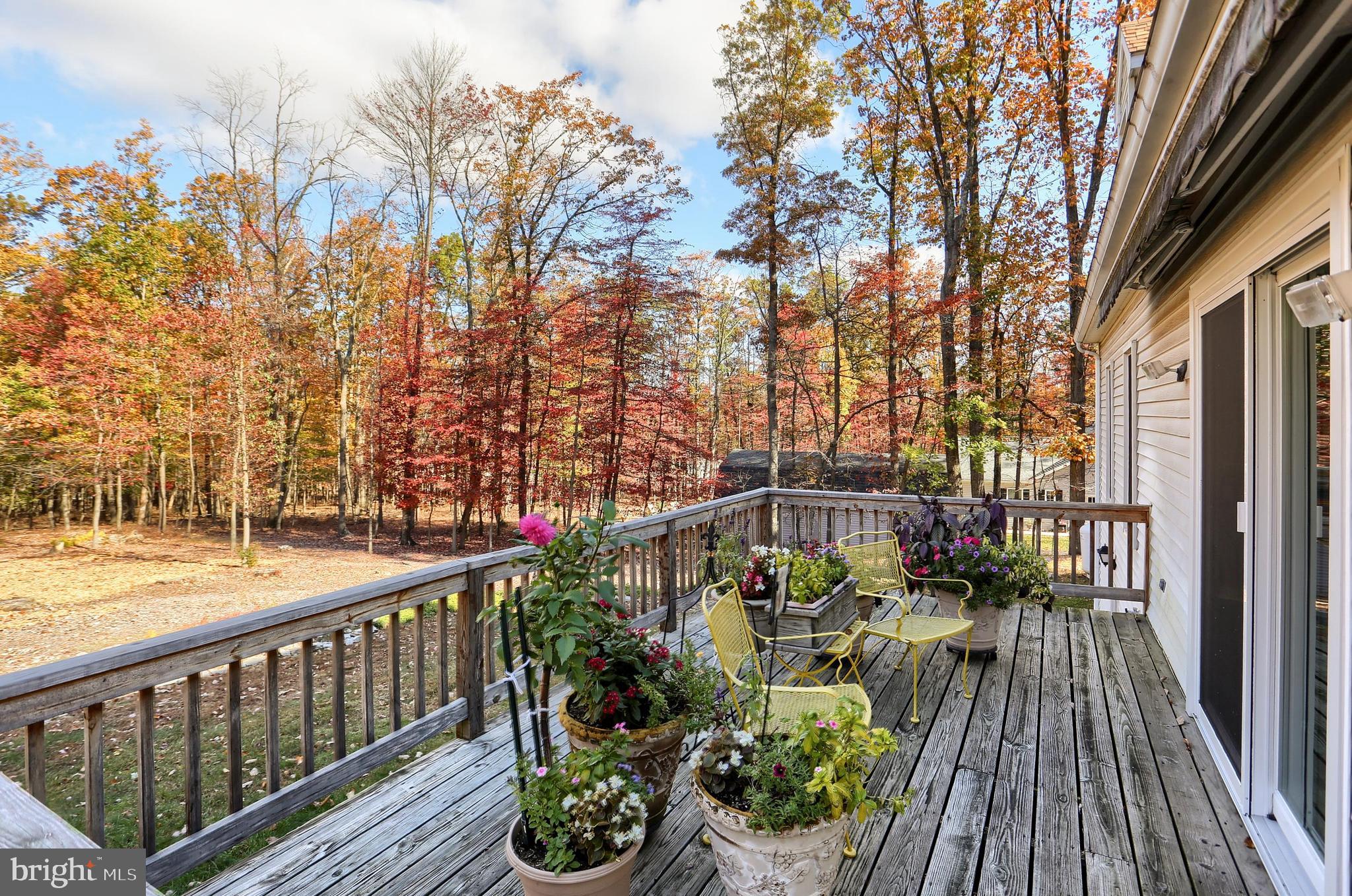 1226 BLOSSOM TERRACE