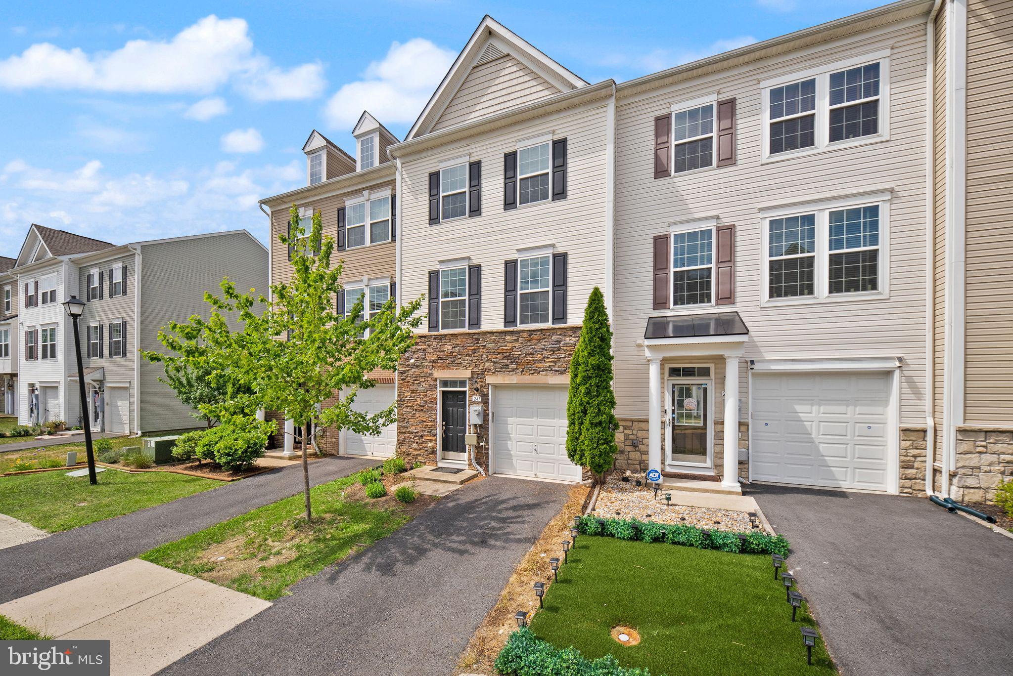 241 SCHRAMM LOOP