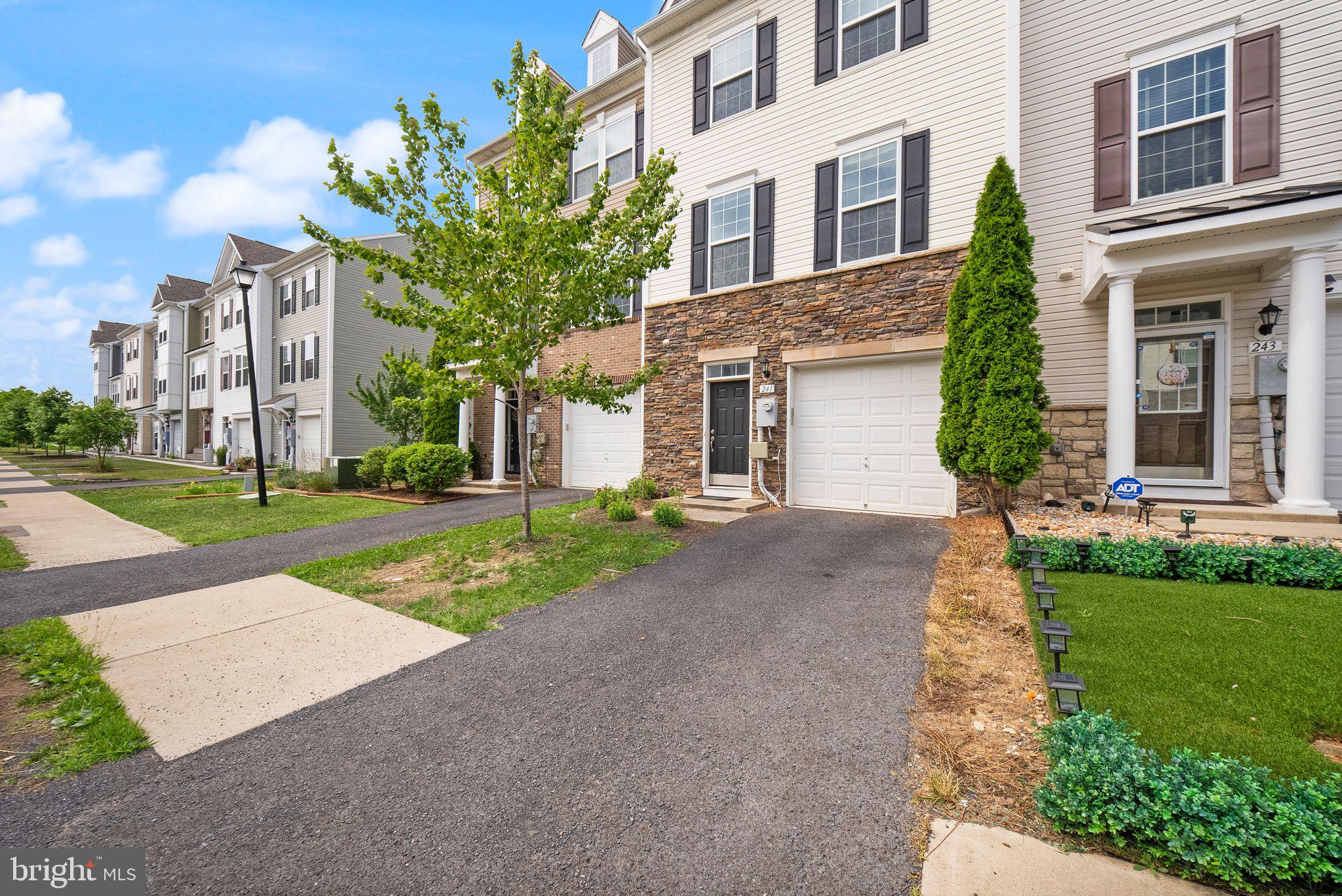 241 SCHRAMM LOOP