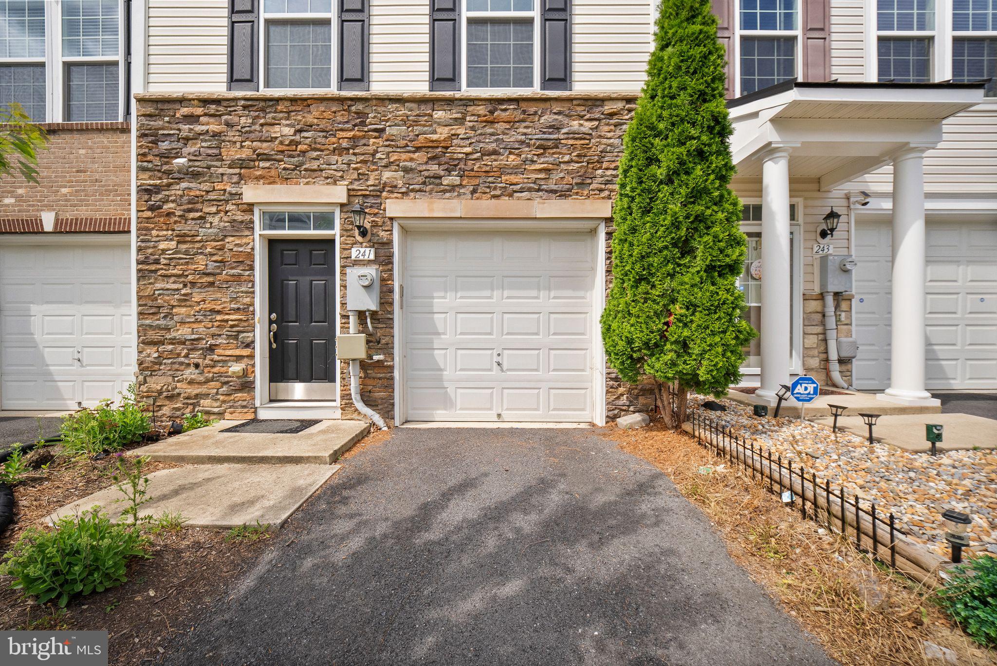 241 SCHRAMM LOOP