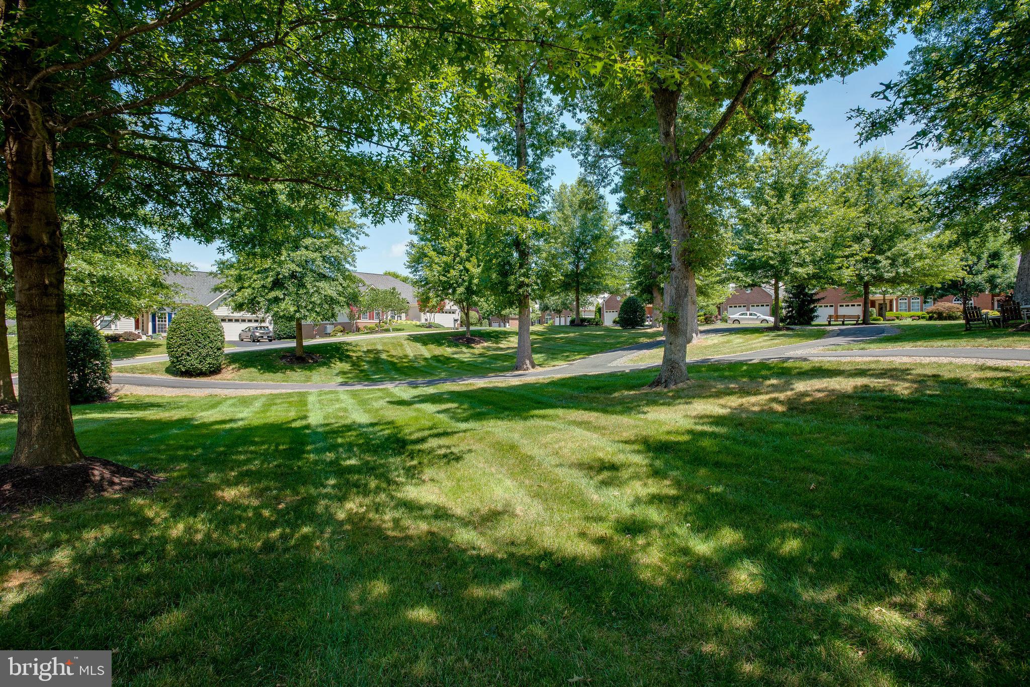 SUFFIELD MEADOWS - Residential