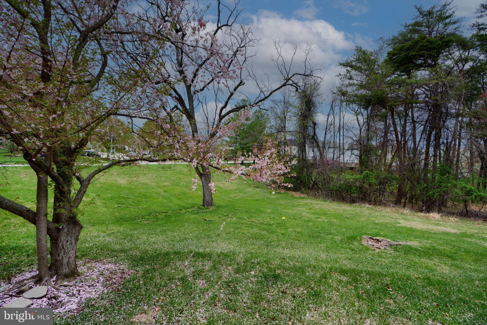 GREENS AT SMITH - Residential