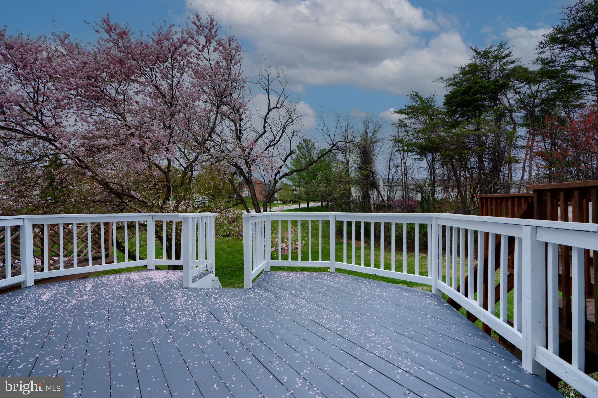 GREENS AT SMITH - Residential