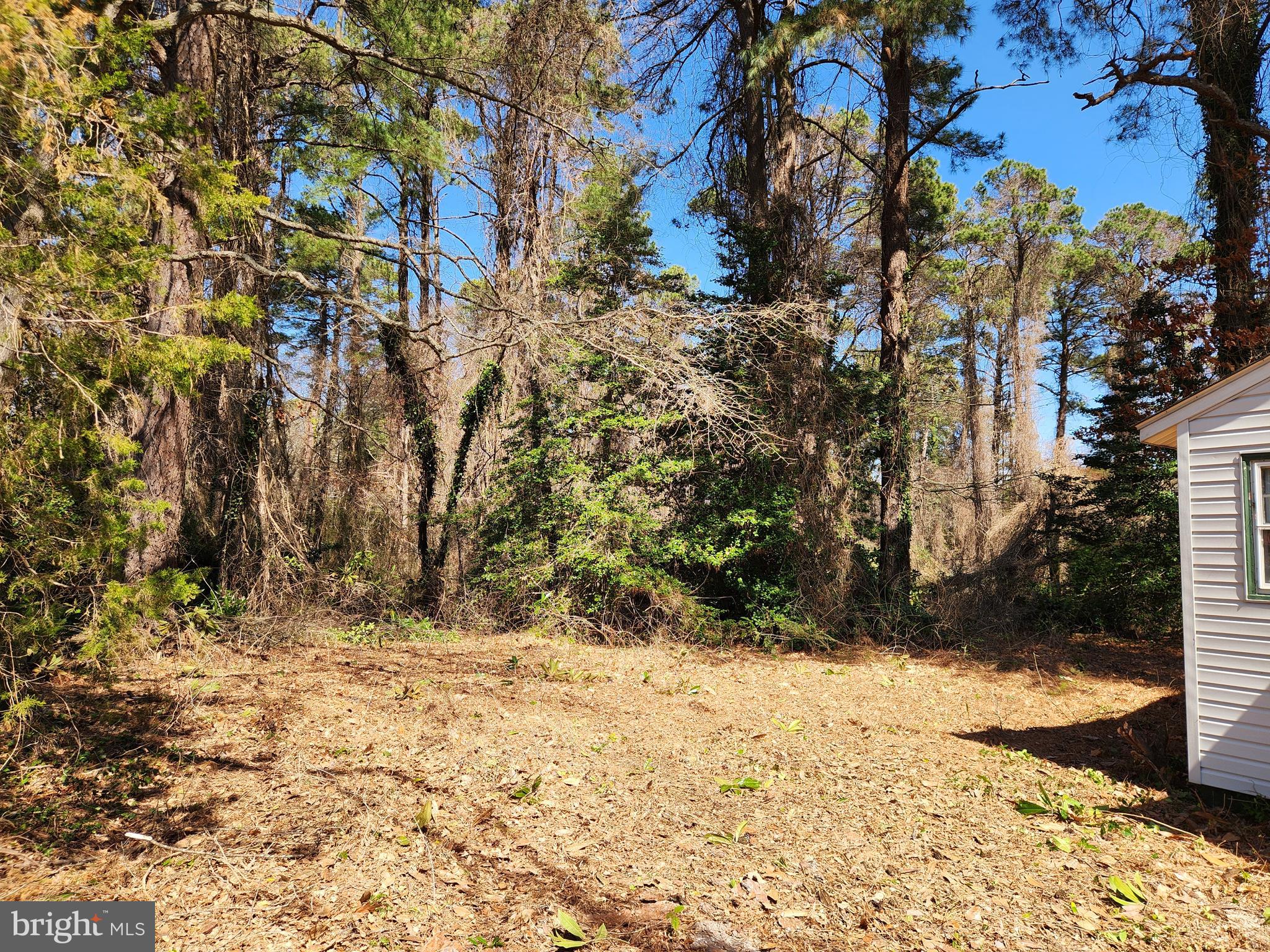 PORT SUNLIGHT - Residential