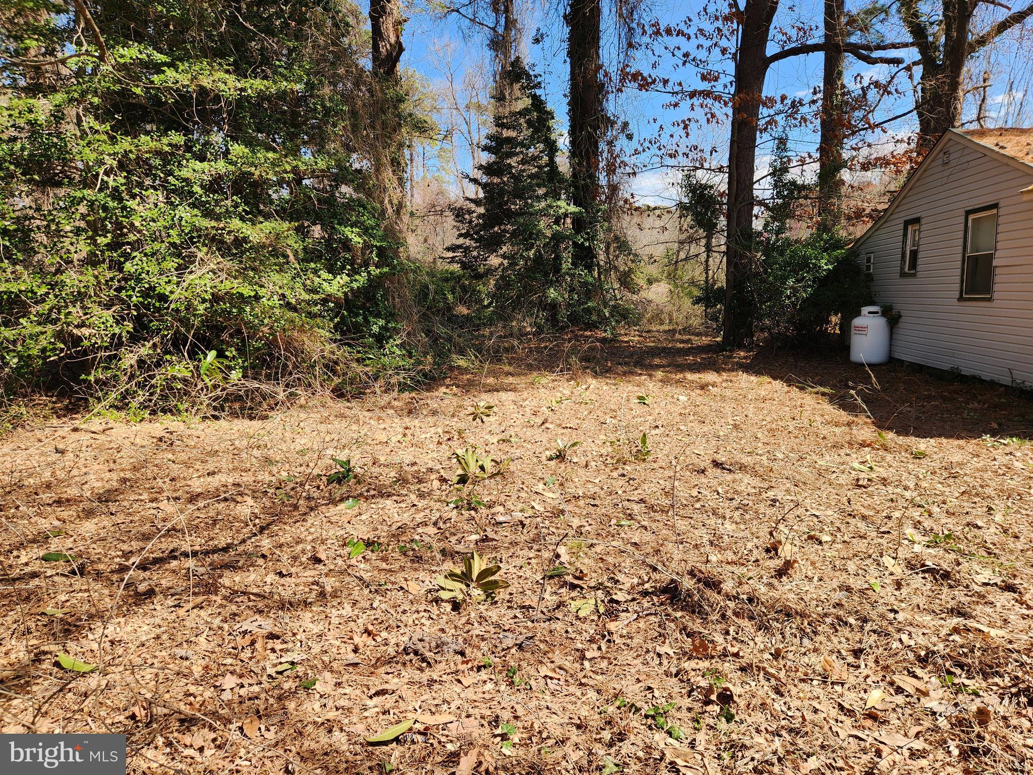 PORT SUNLIGHT - Residential