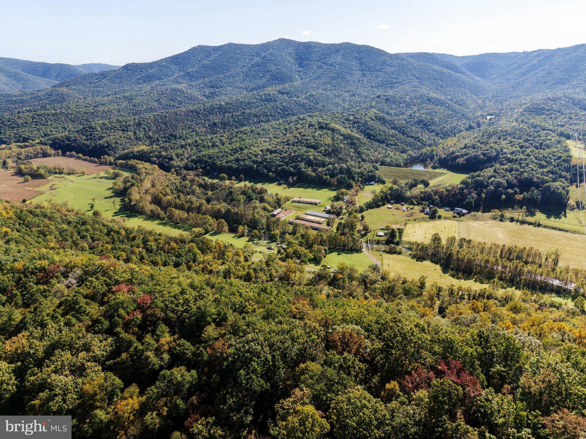 195 HINKLE MT ROAD