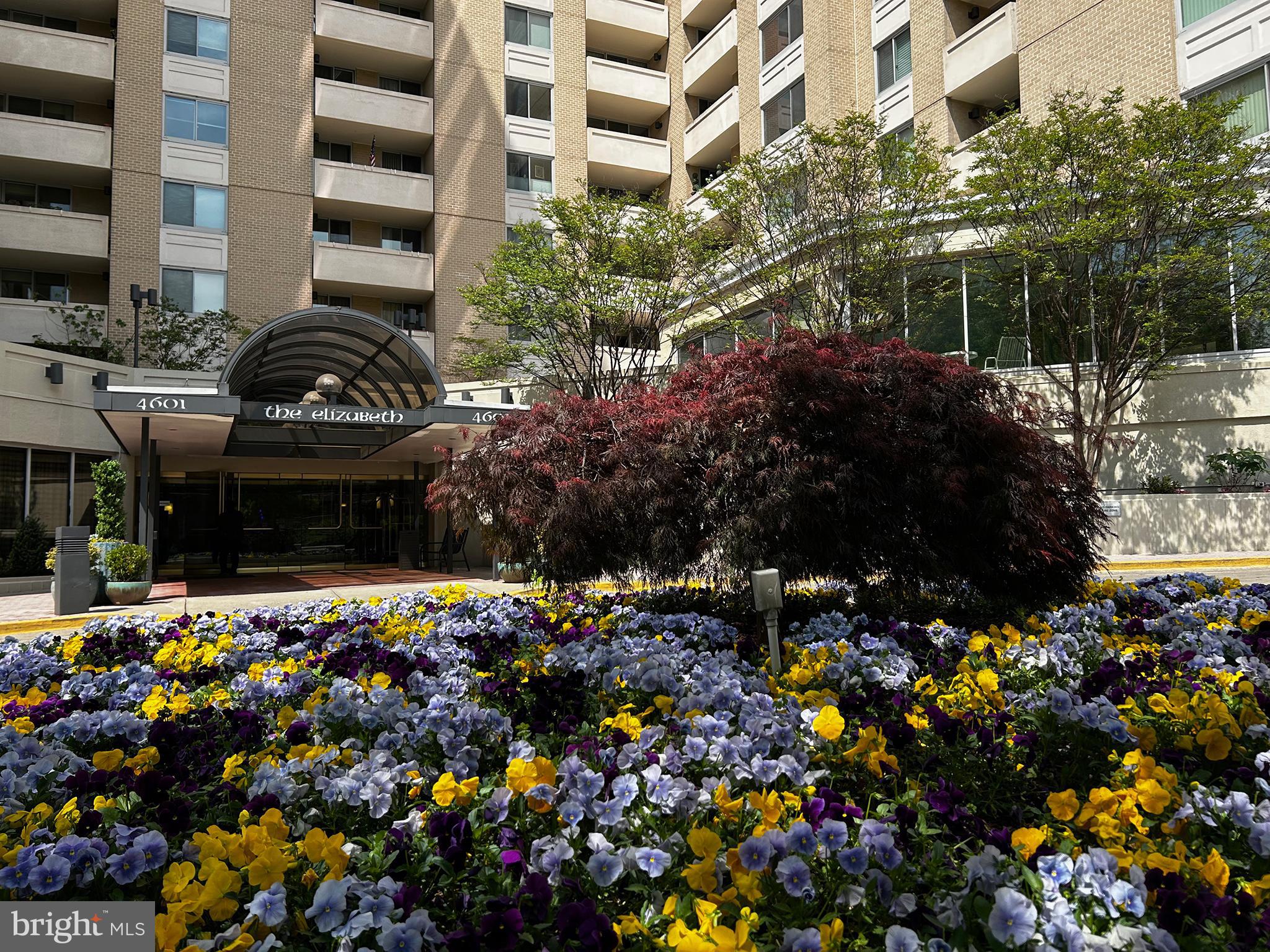 THE ELIZABETH - Residential