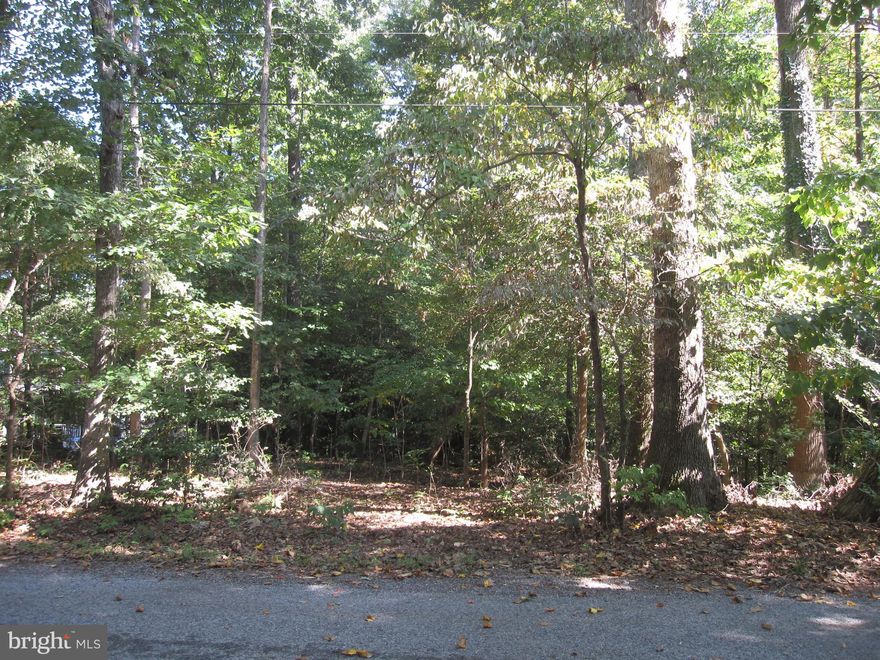 Building lot located on Dalton Trail, walking distance to the beach at Lake Lariat.  lot is perked.  Build your dream home.