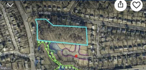 MLS: MDPG2145350
