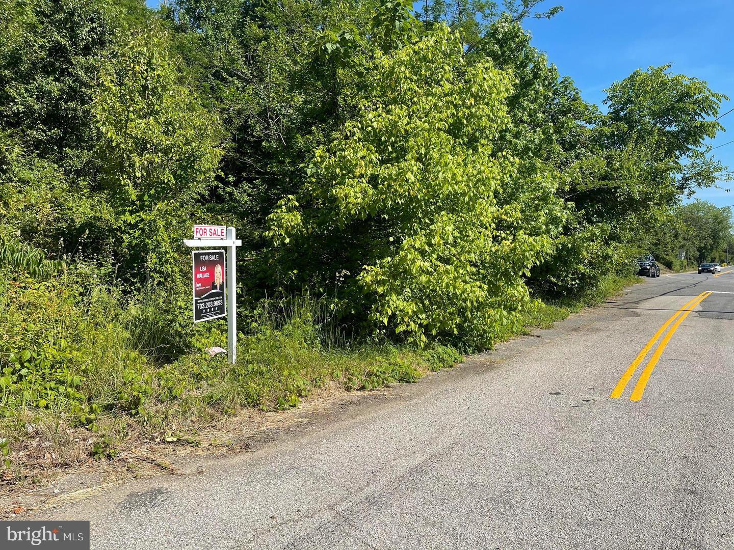 9005 BACKLICK ROAD