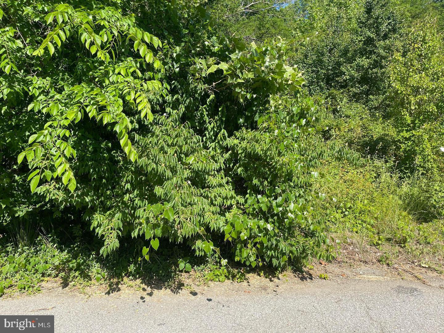 9005 BACKLICK ROAD