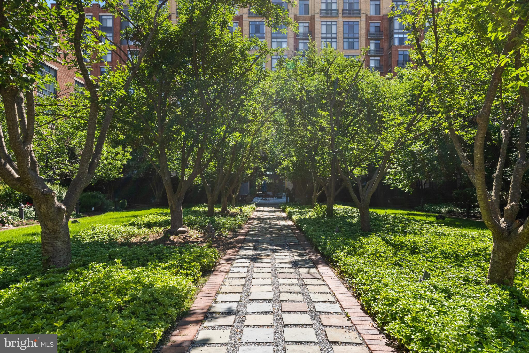 CONDOS AT CARLYLE SQUARE - Residential