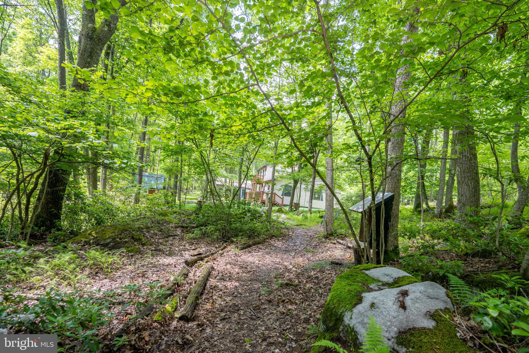 YOUGHIOUGHENY MOUNTAIN - Residential