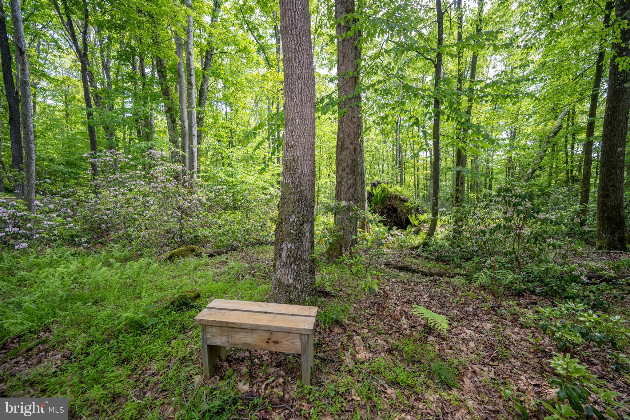 YOUGHIOUGHENY MOUNTAIN - Residential