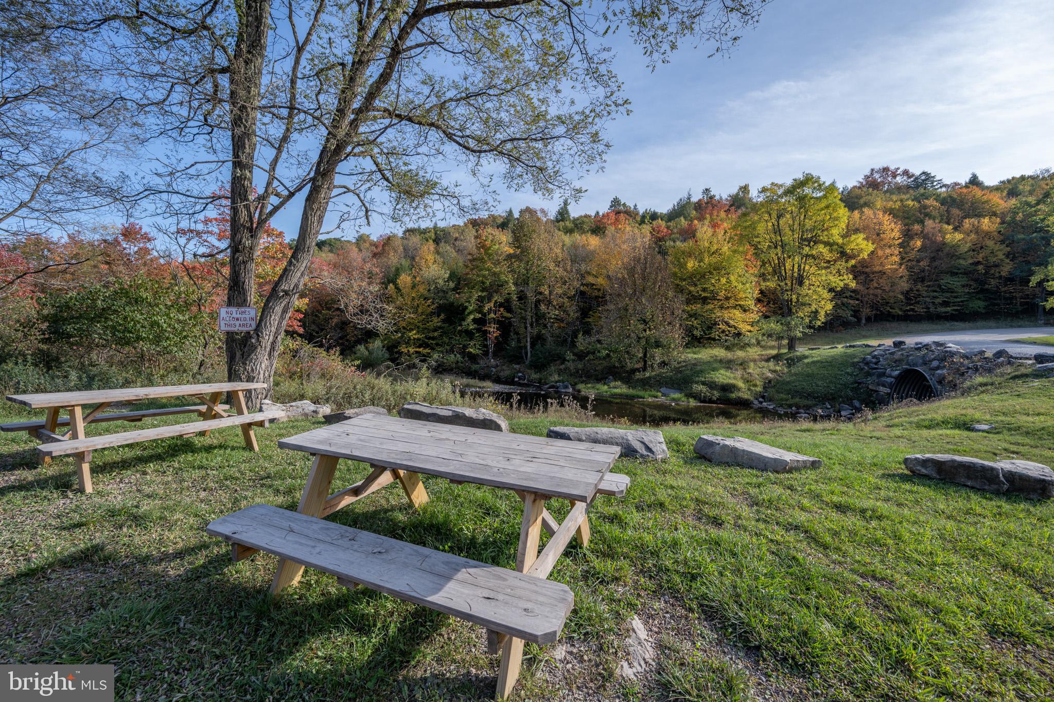 YOUGHIOUGHENY MOUNTAIN - Residential
