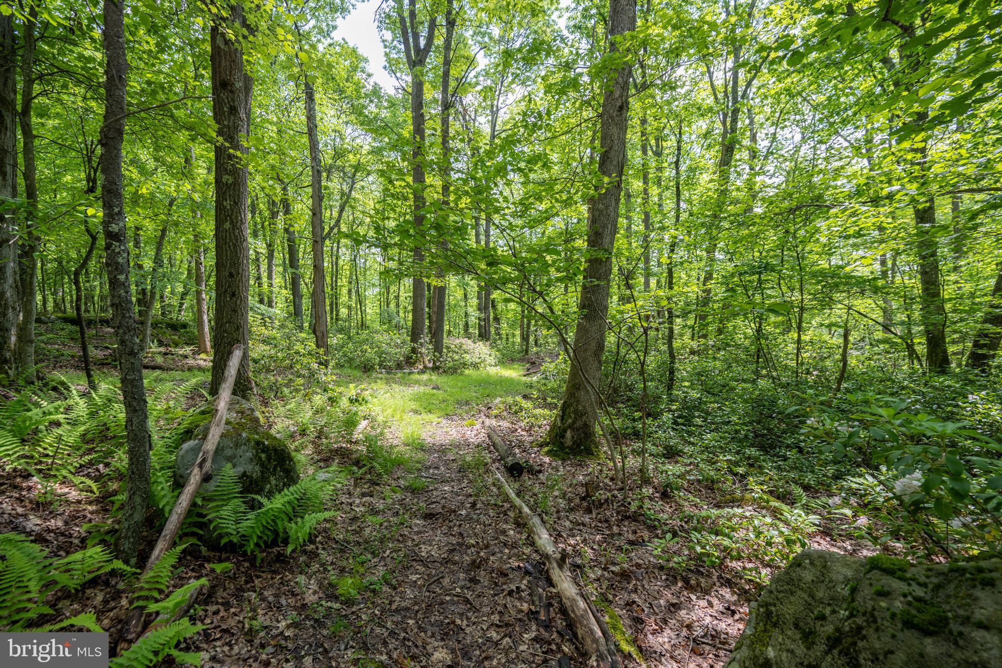 YOUGHIOUGHENY MOUNTAIN - Residential