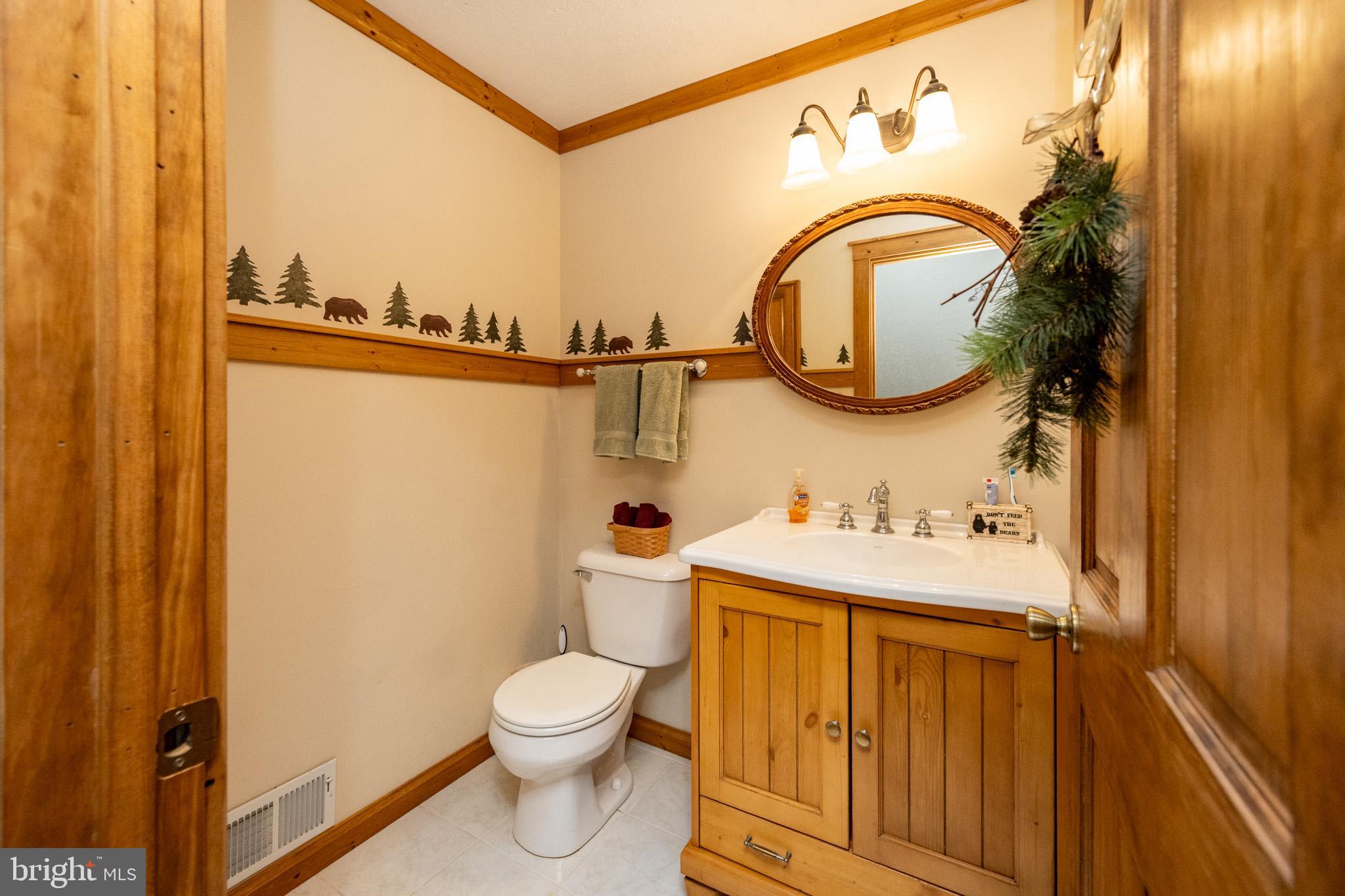 YOUGHIOUGHENY MOUNTAIN - Residential