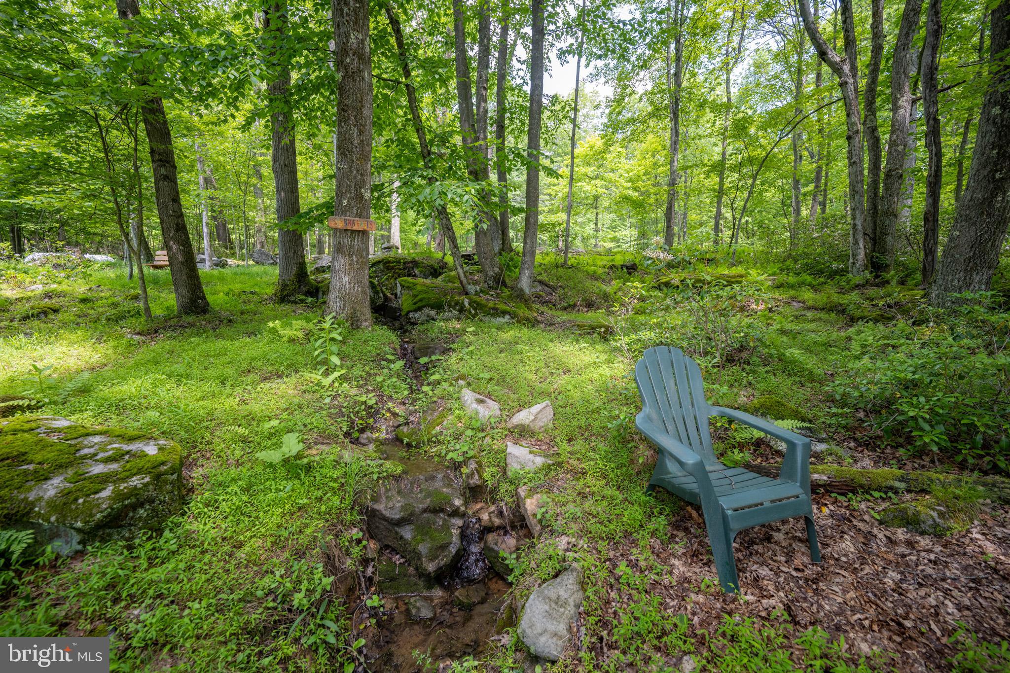 YOUGHIOUGHENY MOUNTAIN - Residential