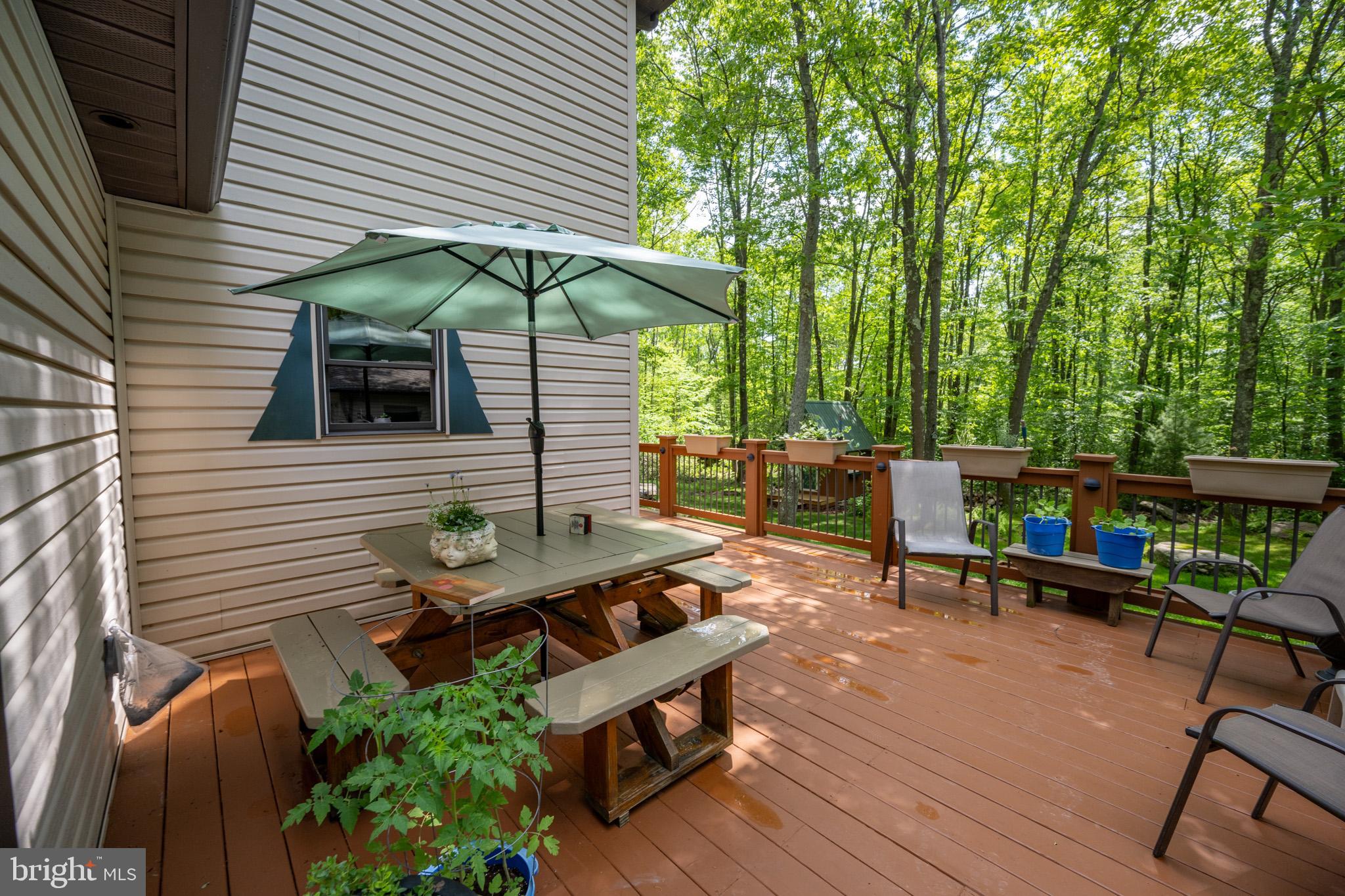 YOUGHIOUGHENY MOUNTAIN - Residential