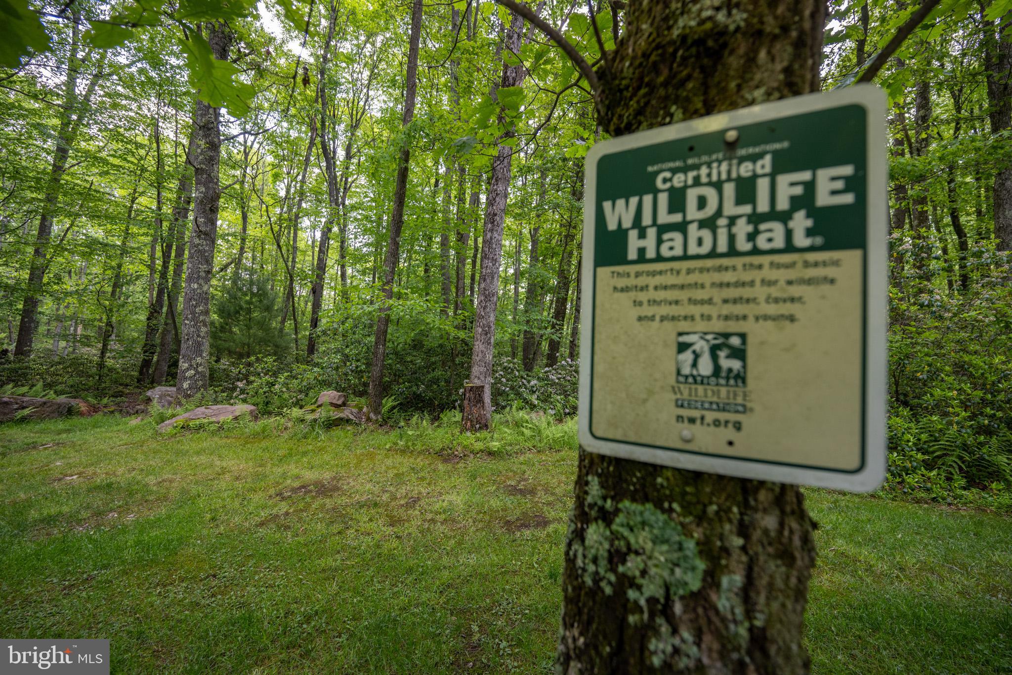 YOUGHIOUGHENY MOUNTAIN - Residential