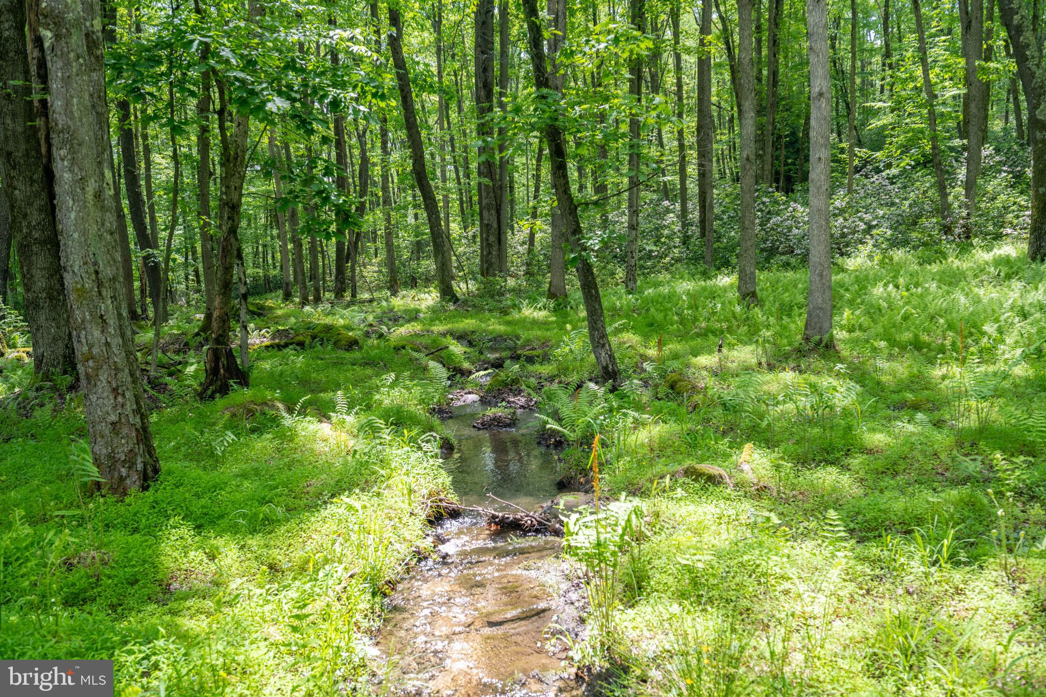 YOUGHIOUGHENY MOUNTAIN - Residential