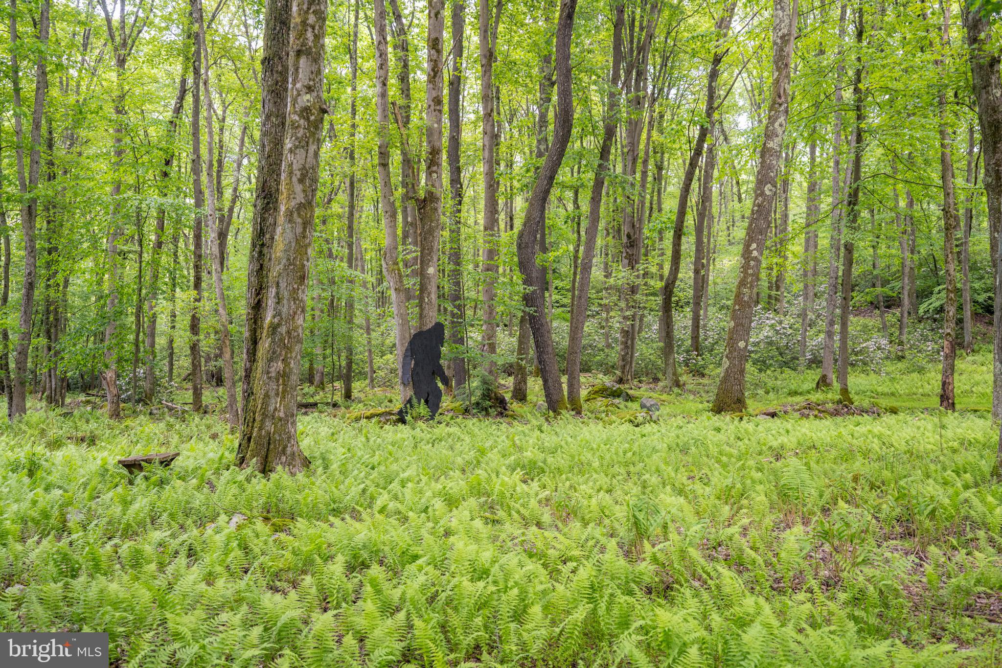 YOUGHIOUGHENY MOUNTAIN - Residential