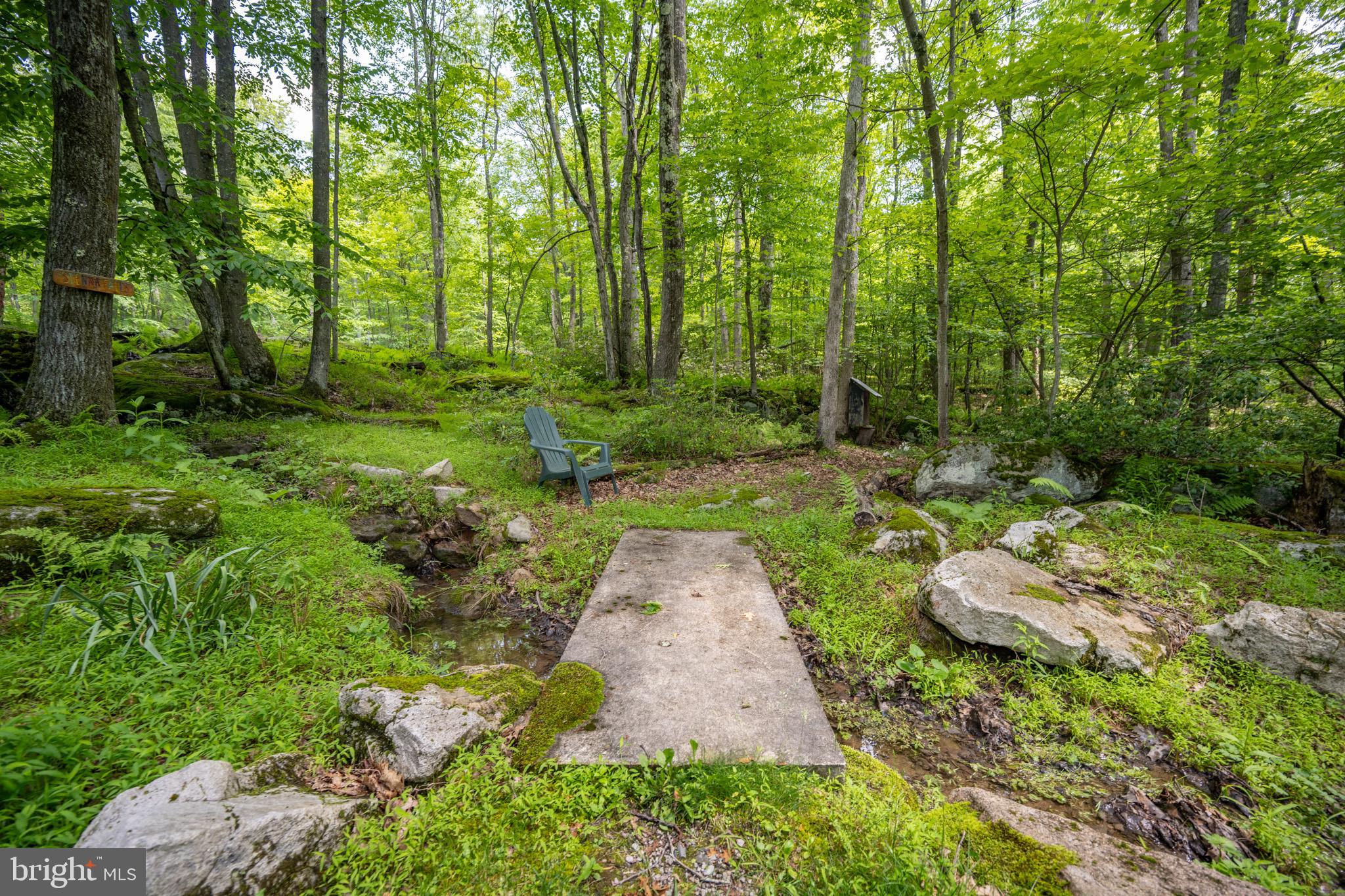 YOUGHIOUGHENY MOUNTAIN - Residential