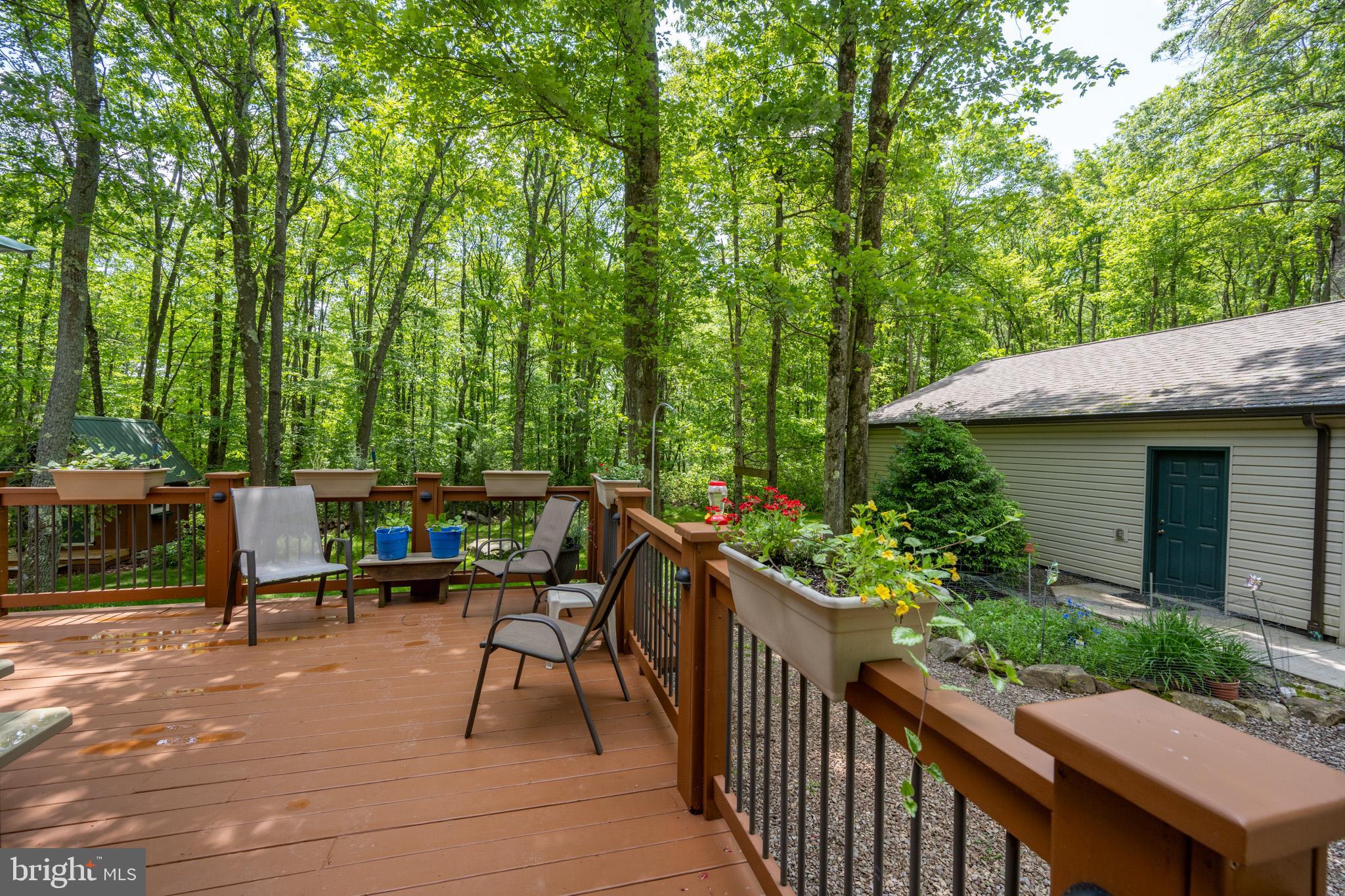 YOUGHIOUGHENY MOUNTAIN - Residential