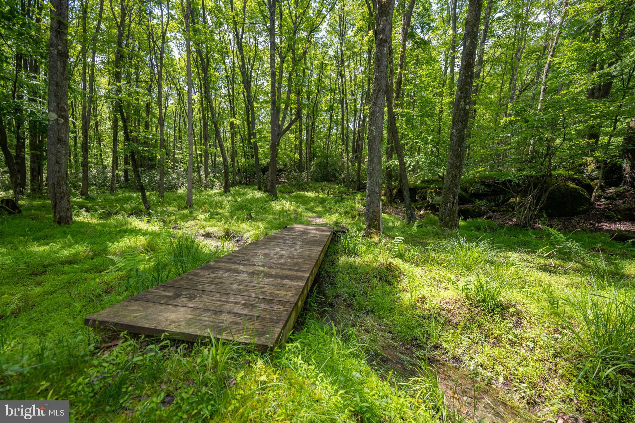 YOUGHIOUGHENY MOUNTAIN - Residential