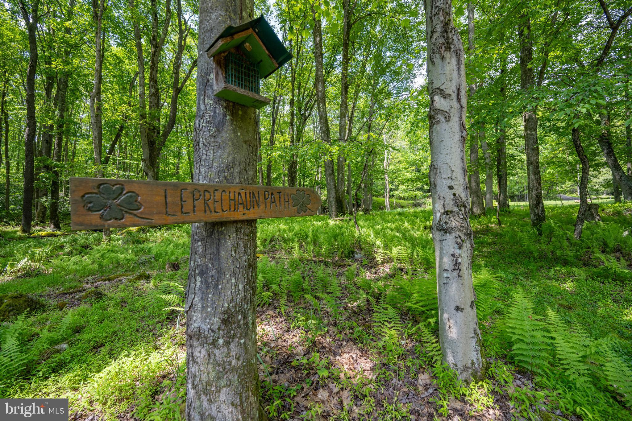 YOUGHIOUGHENY MOUNTAIN - Residential