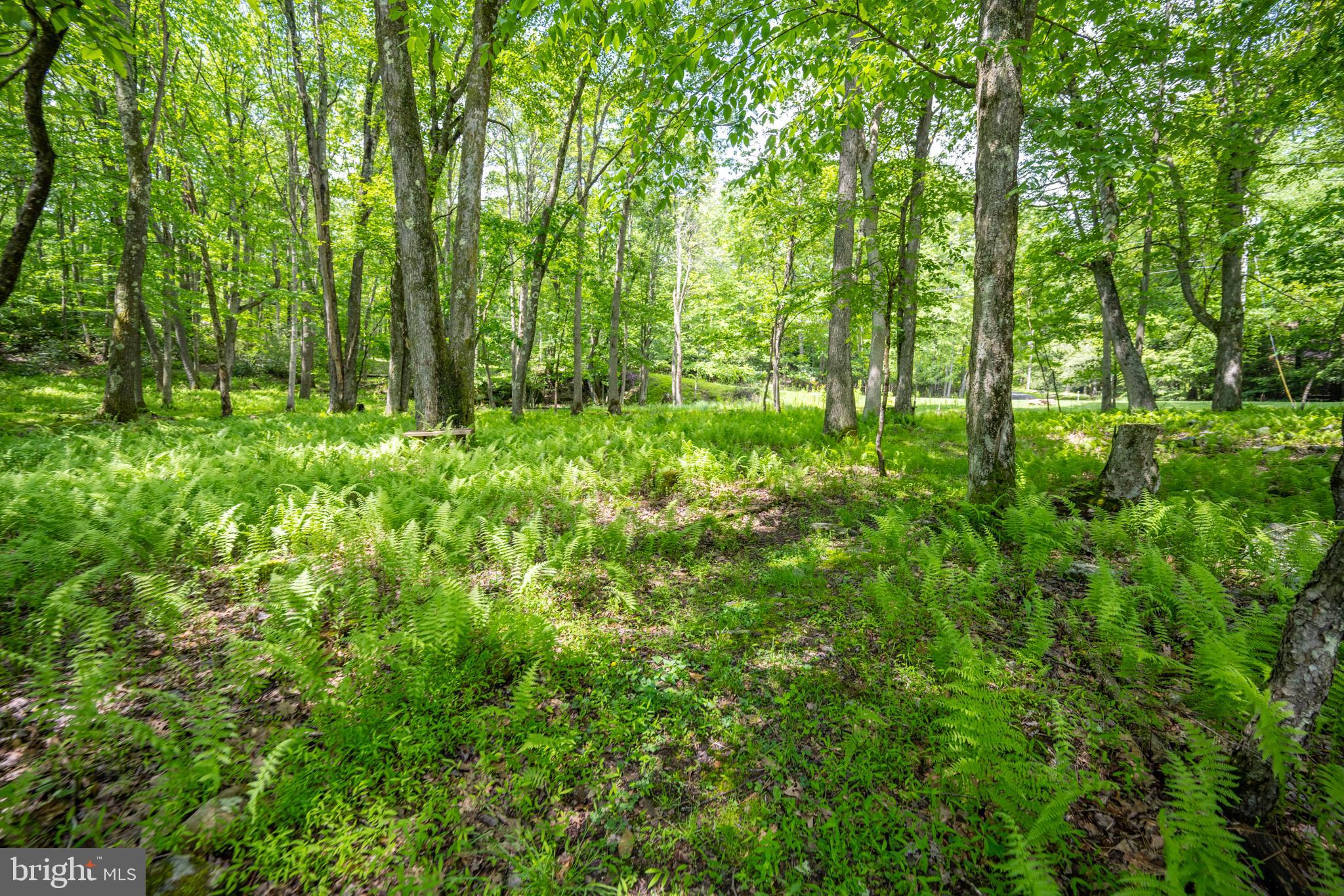 YOUGHIOUGHENY MOUNTAIN - Residential