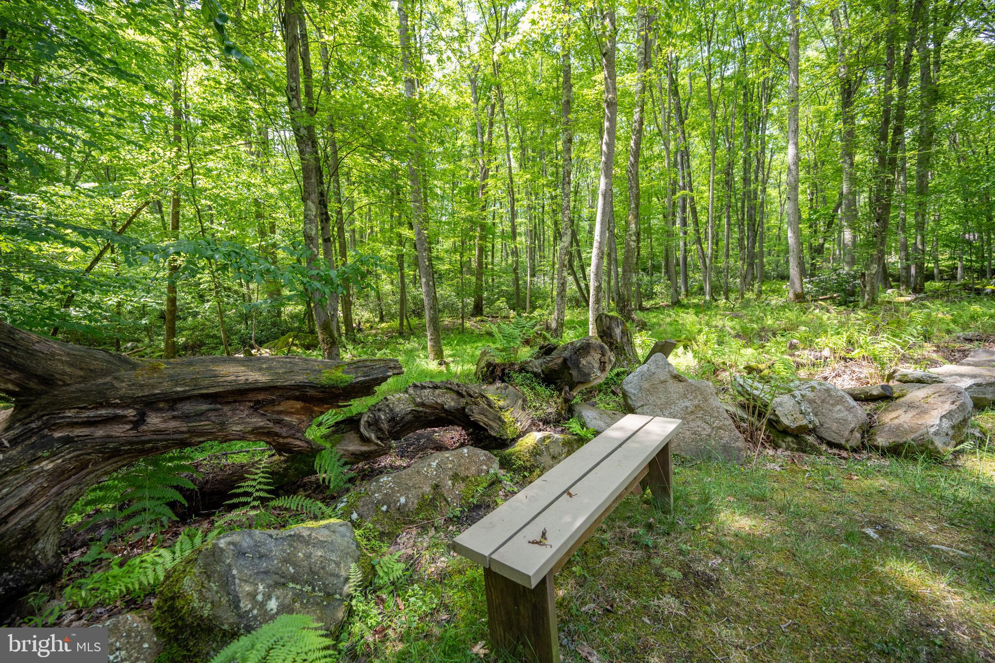 YOUGHIOUGHENY MOUNTAIN - Residential