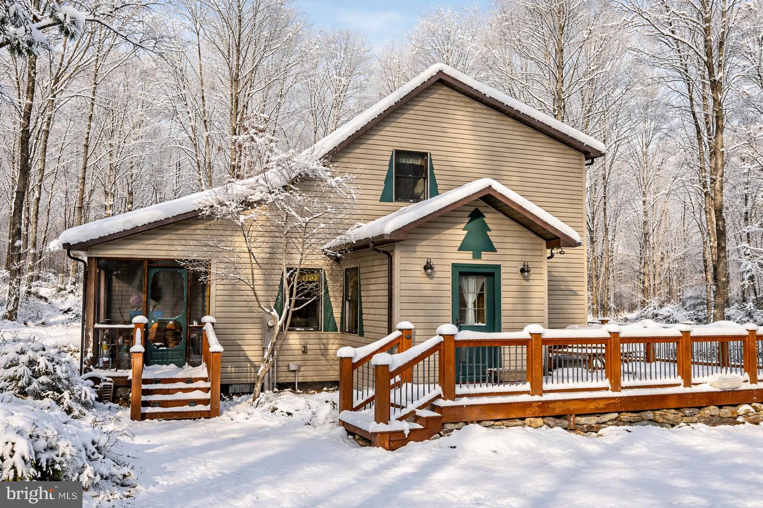 YOUGHIOUGHENY MOUNTAIN - Residential