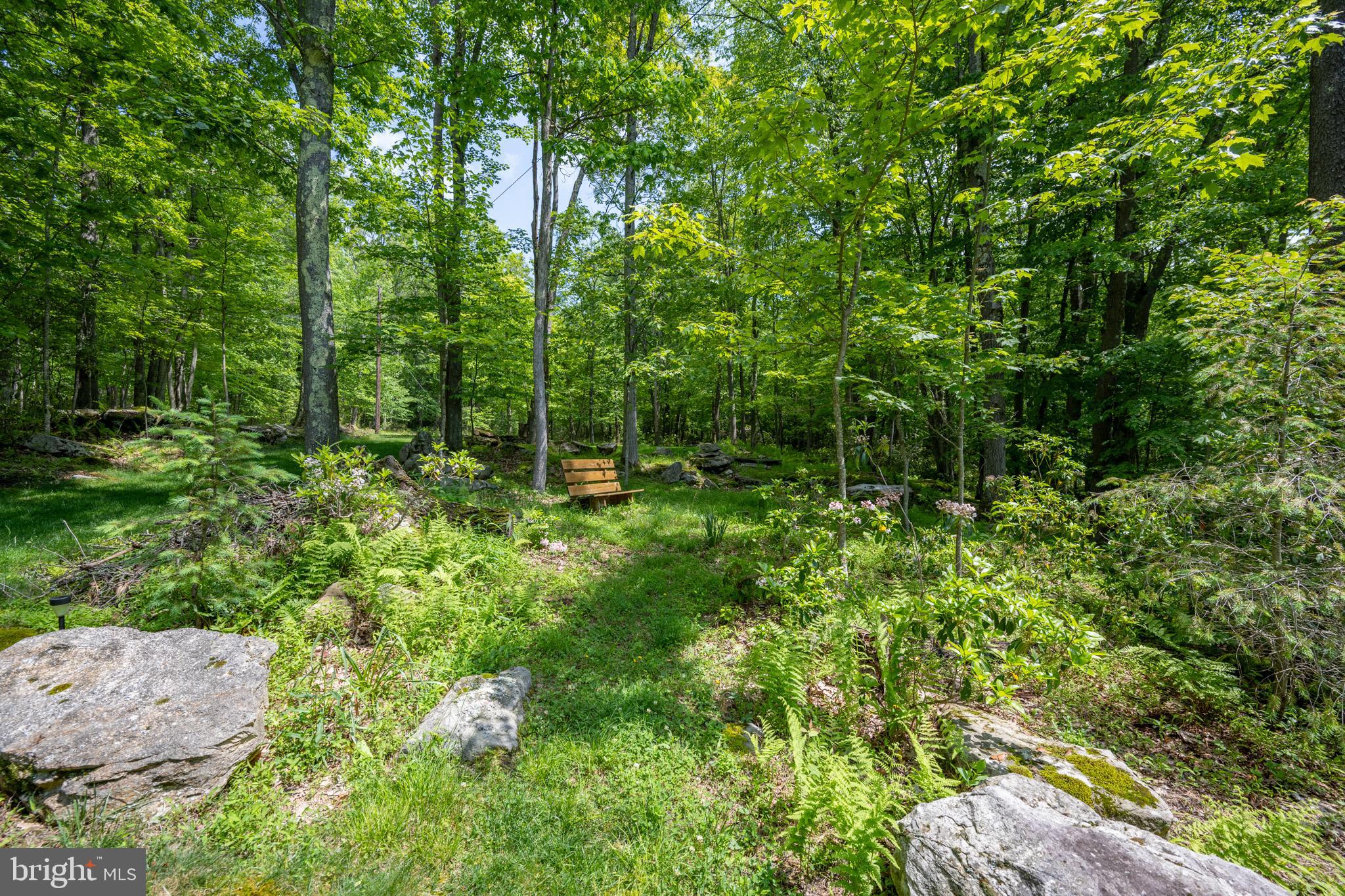 YOUGHIOUGHENY MOUNTAIN - Residential