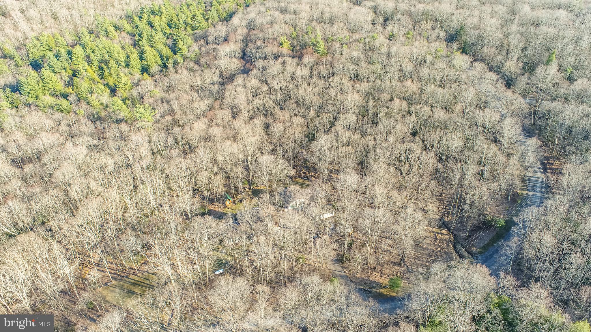 YOUGHIOUGHENY MOUNTAIN - Residential