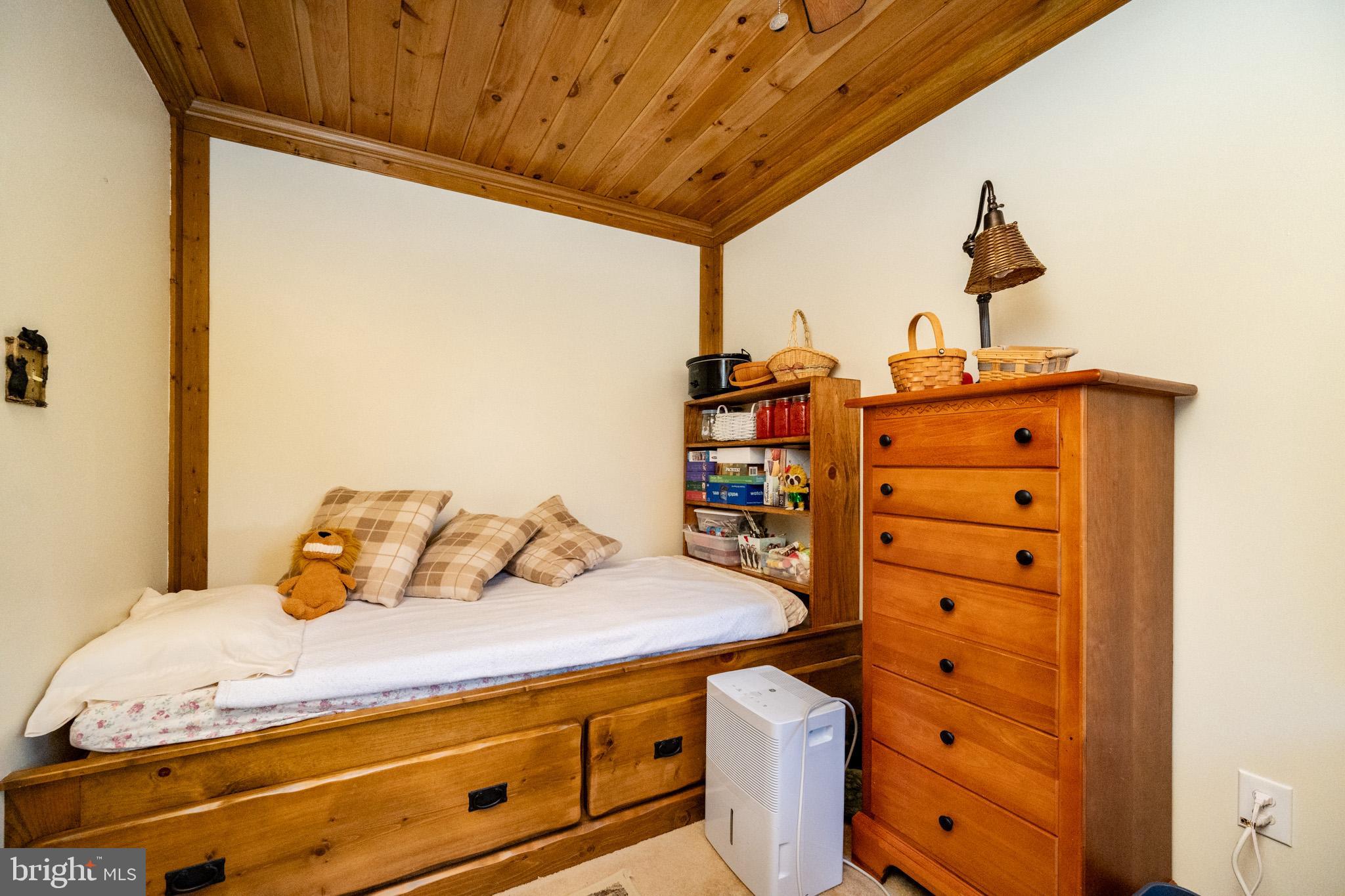 YOUGHIOUGHENY MOUNTAIN - Residential