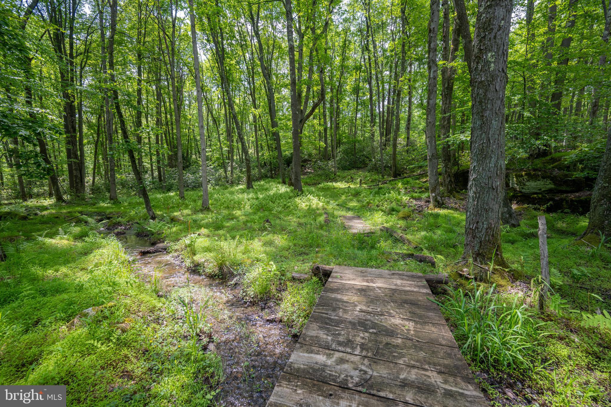 YOUGHIOUGHENY MOUNTAIN - Residential