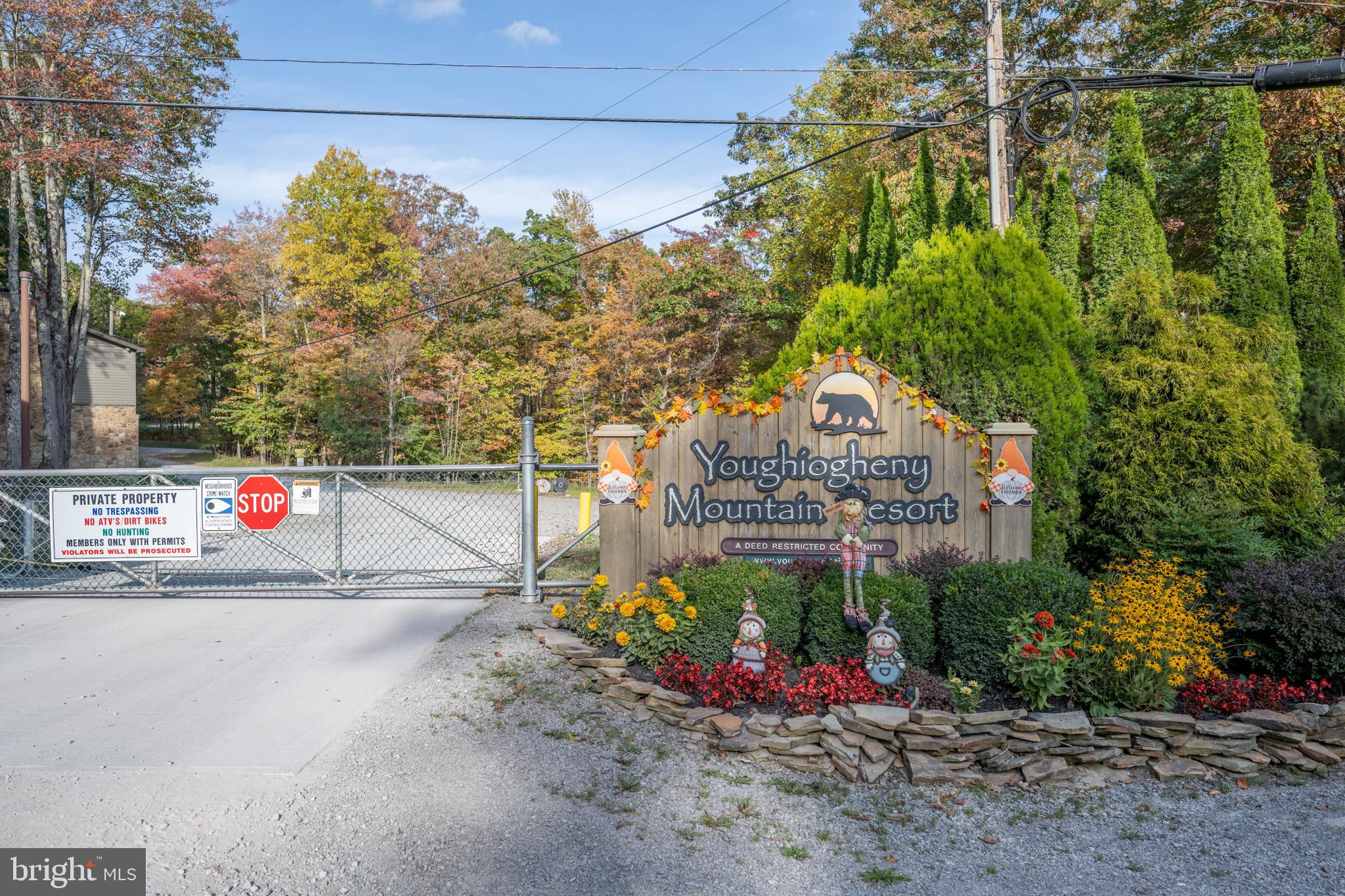 YOUGHIOUGHENY MOUNTAIN - Residential