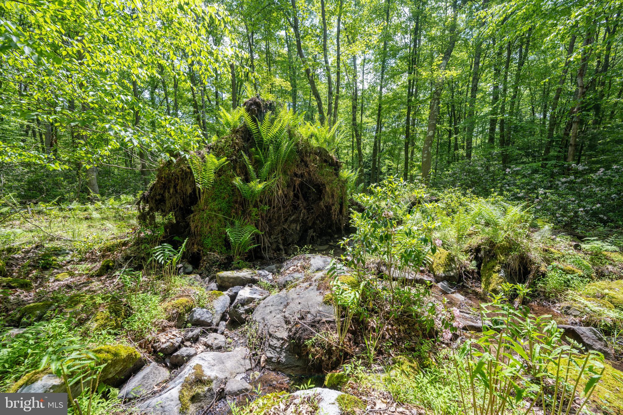 YOUGHIOUGHENY MOUNTAIN - Residential